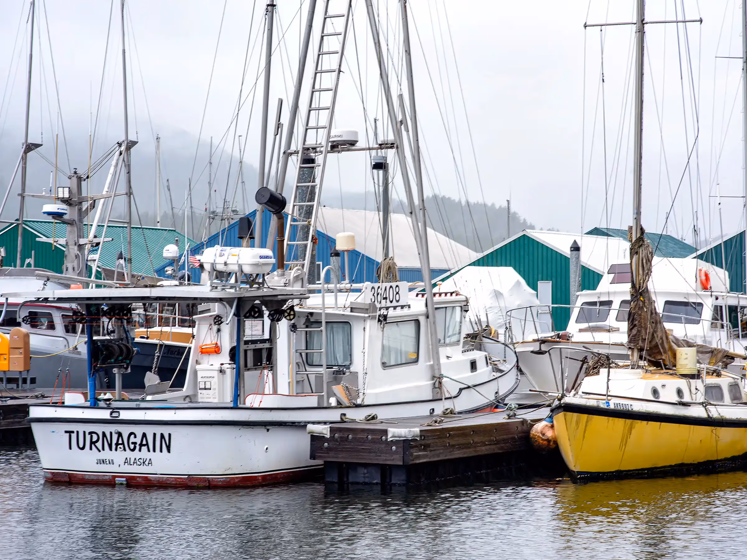 Alaska Wilderness Charters—Juneau—John Schnell Photography