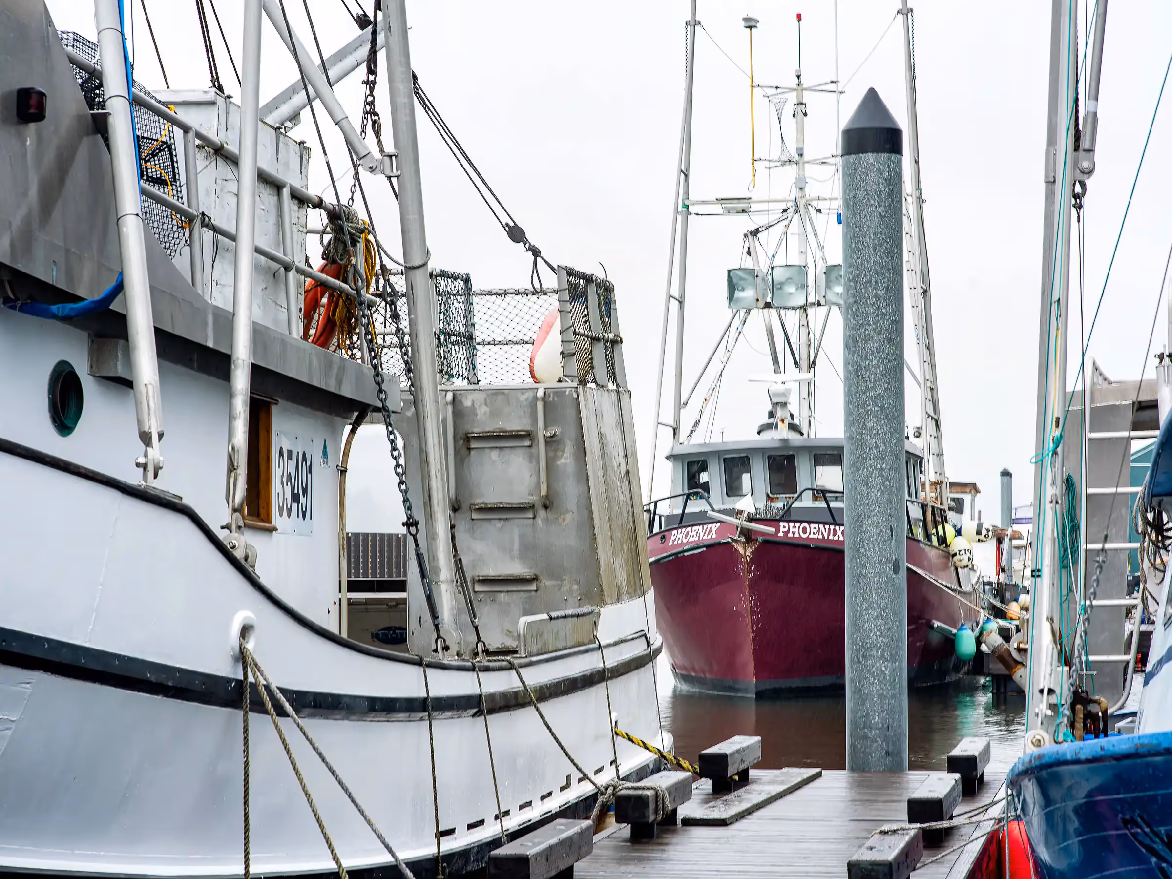 Alaska Wilderness Charters—Juneau—John Schnell Photography