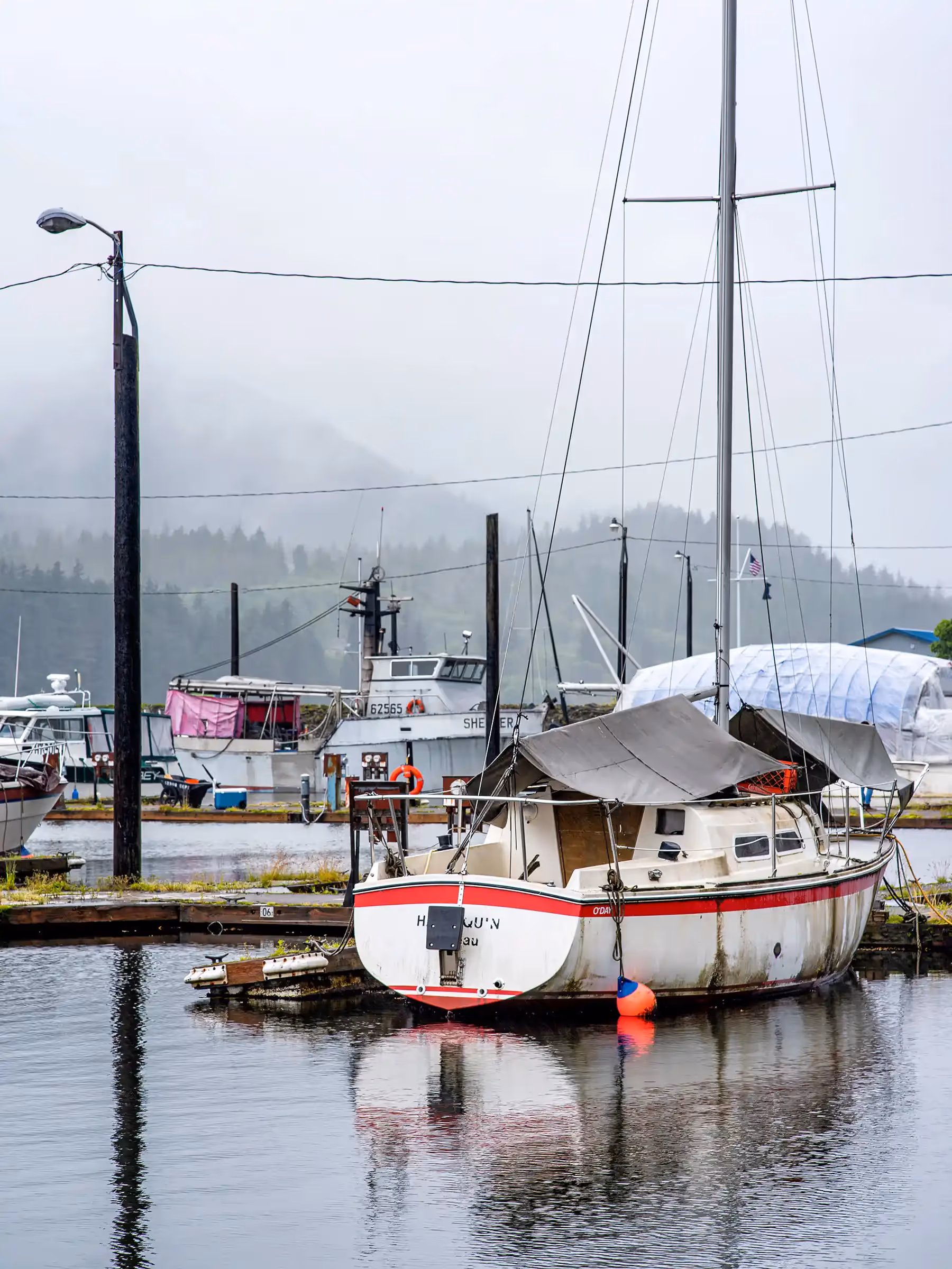 Alaska Wilderness Charters—Juneau—John Schnell Photography