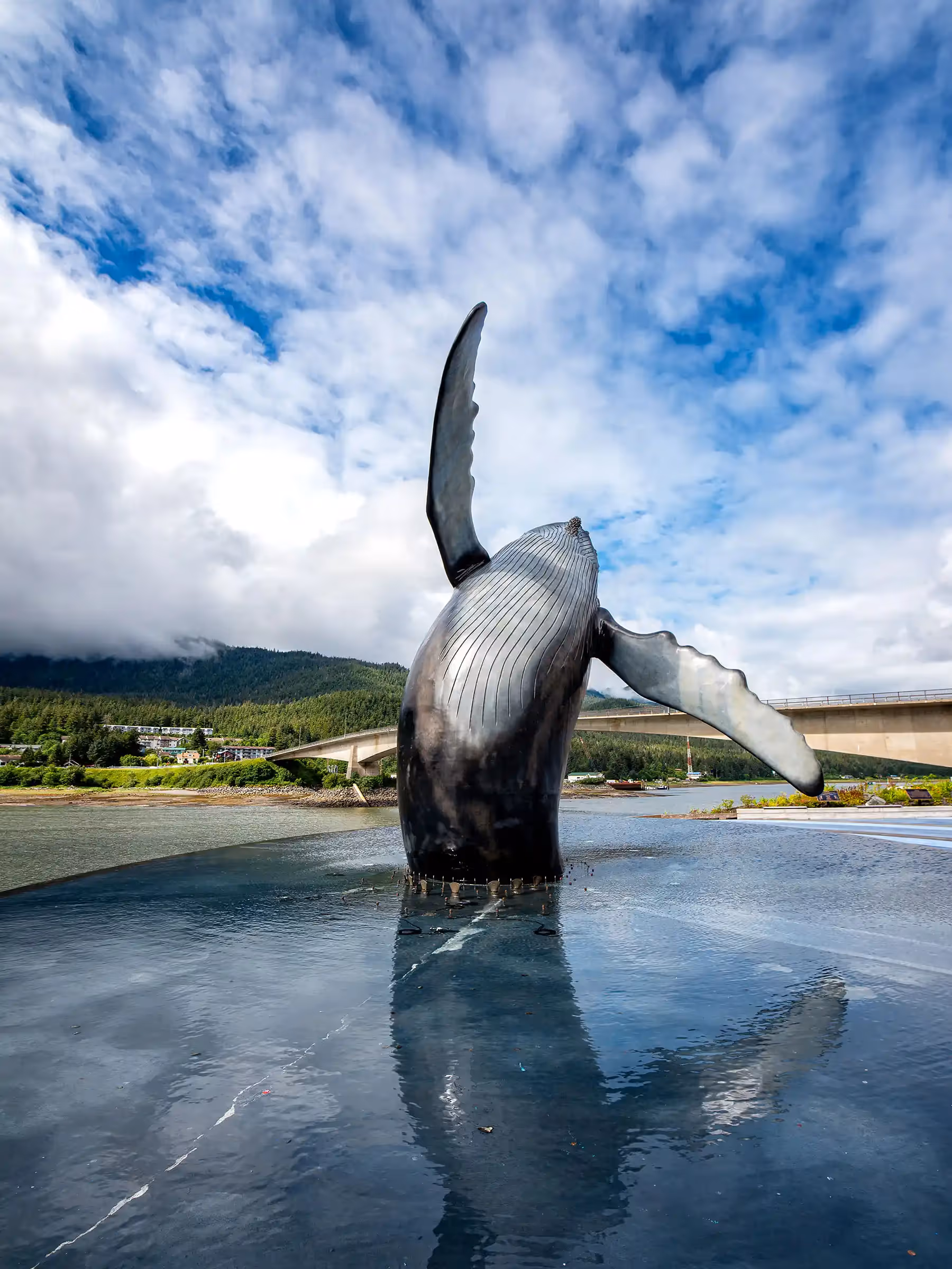 Alaska Wilderness Charters—Juneau—John Schnell Photography