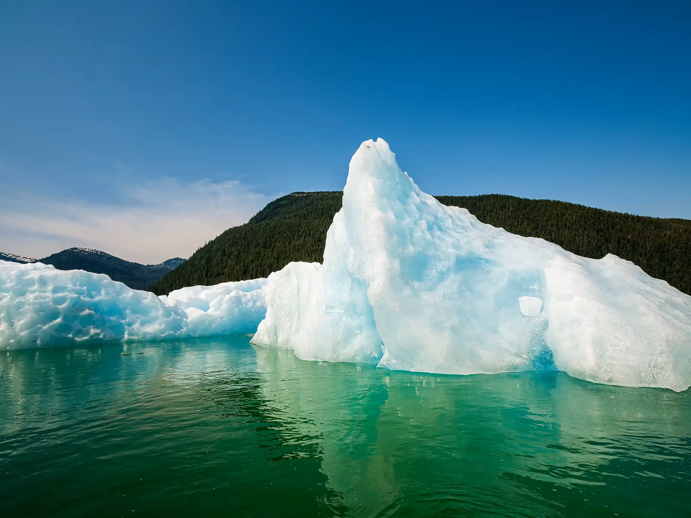 Alaska Wilderness Charters—LeConte Glacier—John Schnell Photography