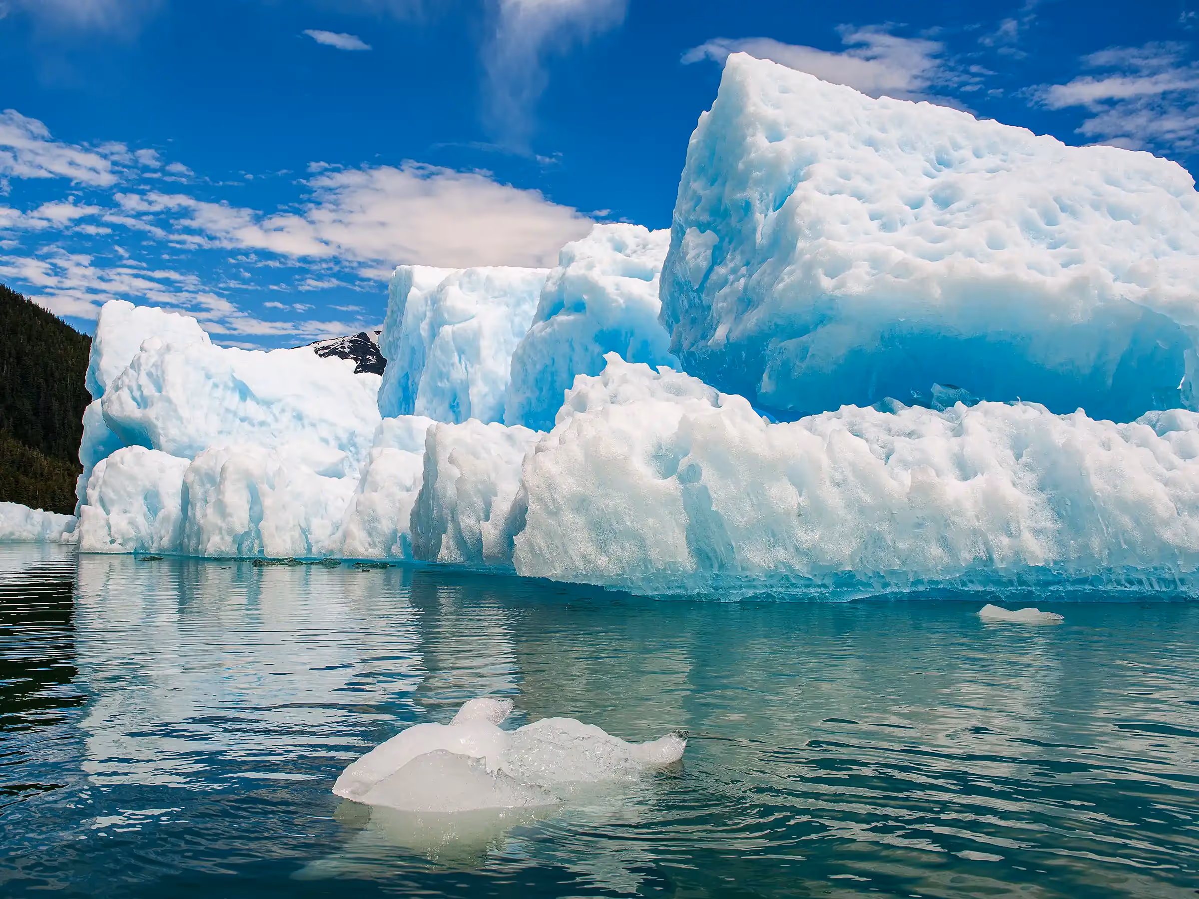 Alaska Wilderness Charters—LeConte Glacier—John Schnell Photography