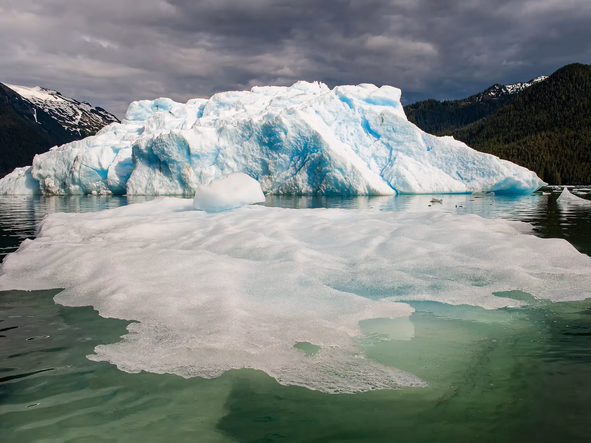 Alaska Wilderness Charters—LeConte Glacier—John Schnell Photography