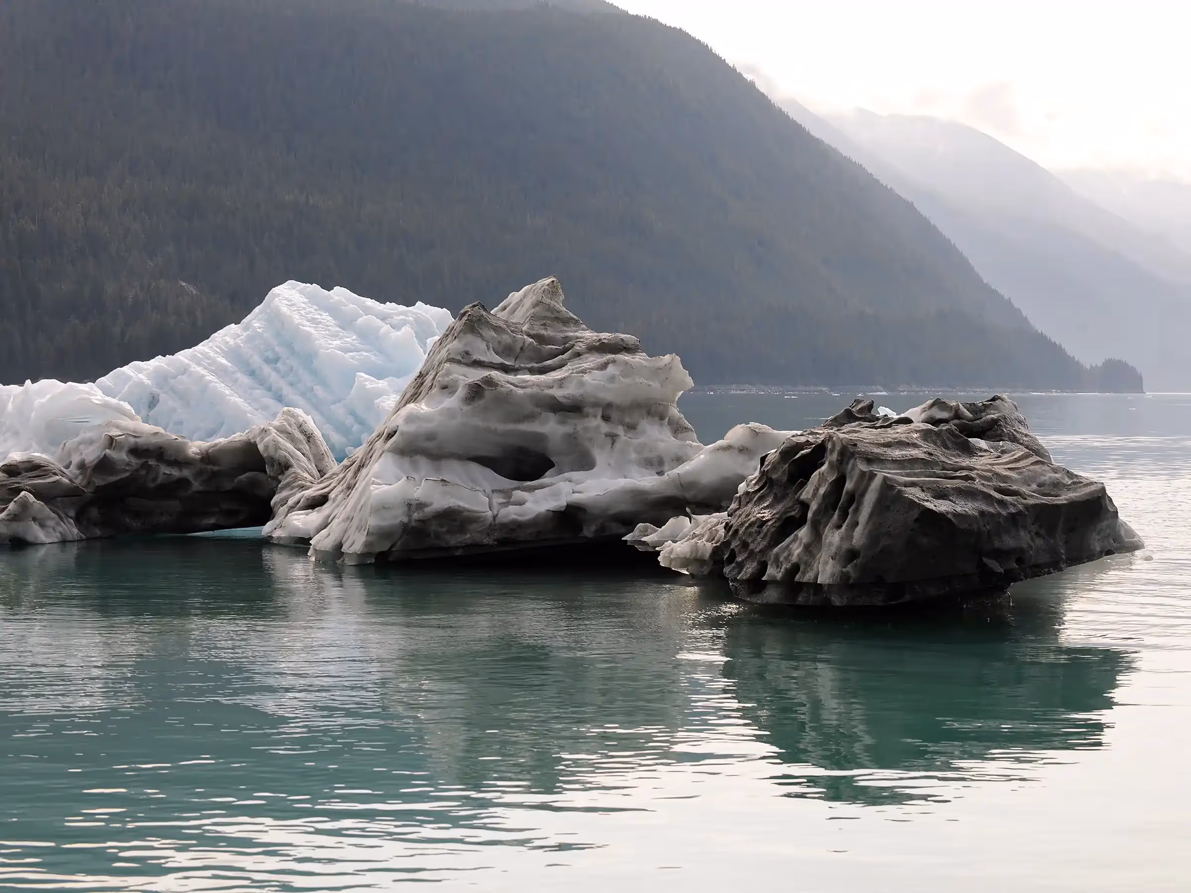 Alaska Wilderness Charters—LeConte Glacier—John Schnell Photography