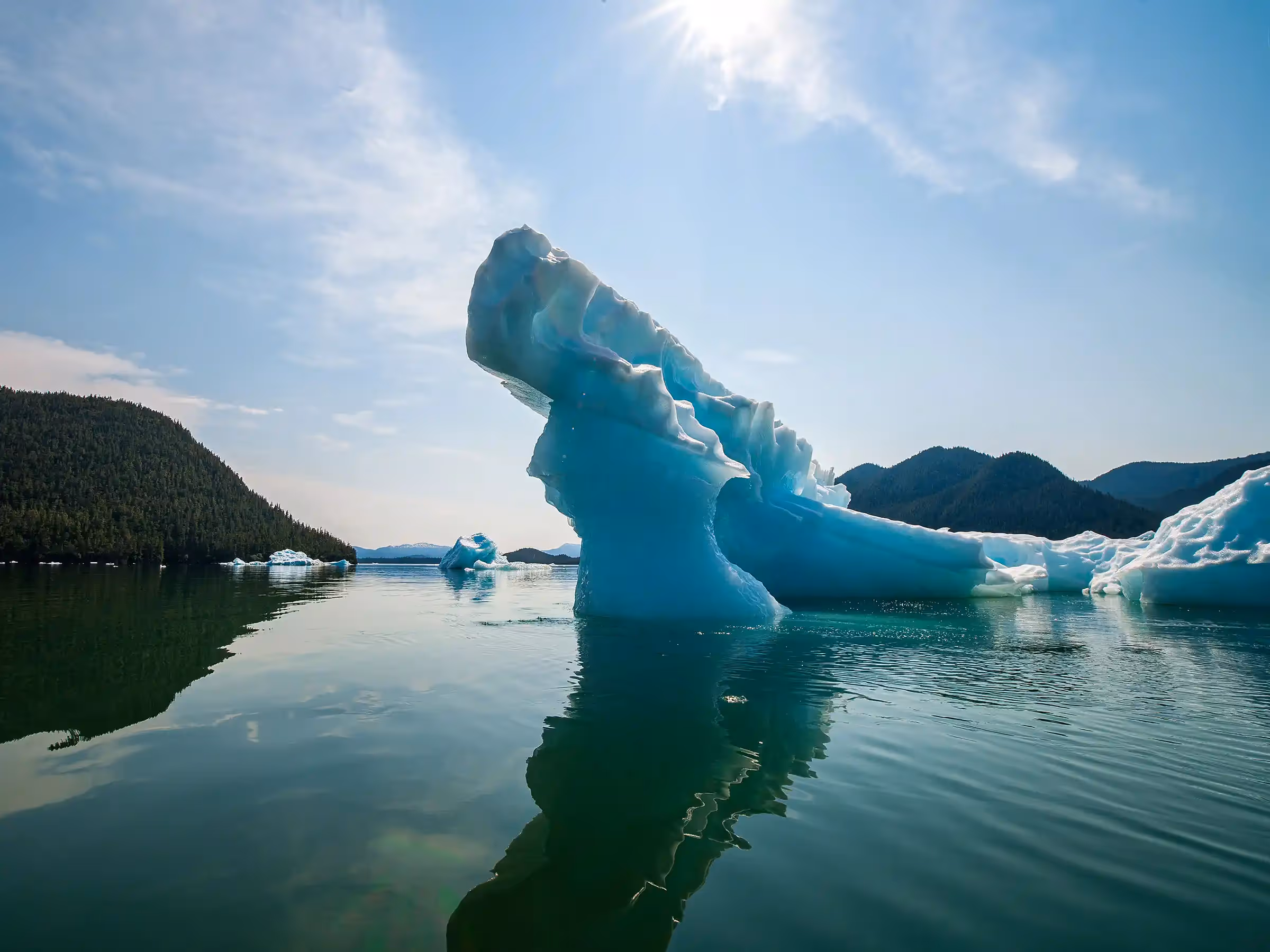 Alaska Wilderness Charters—LeConte Glacier—John Schnell Photography