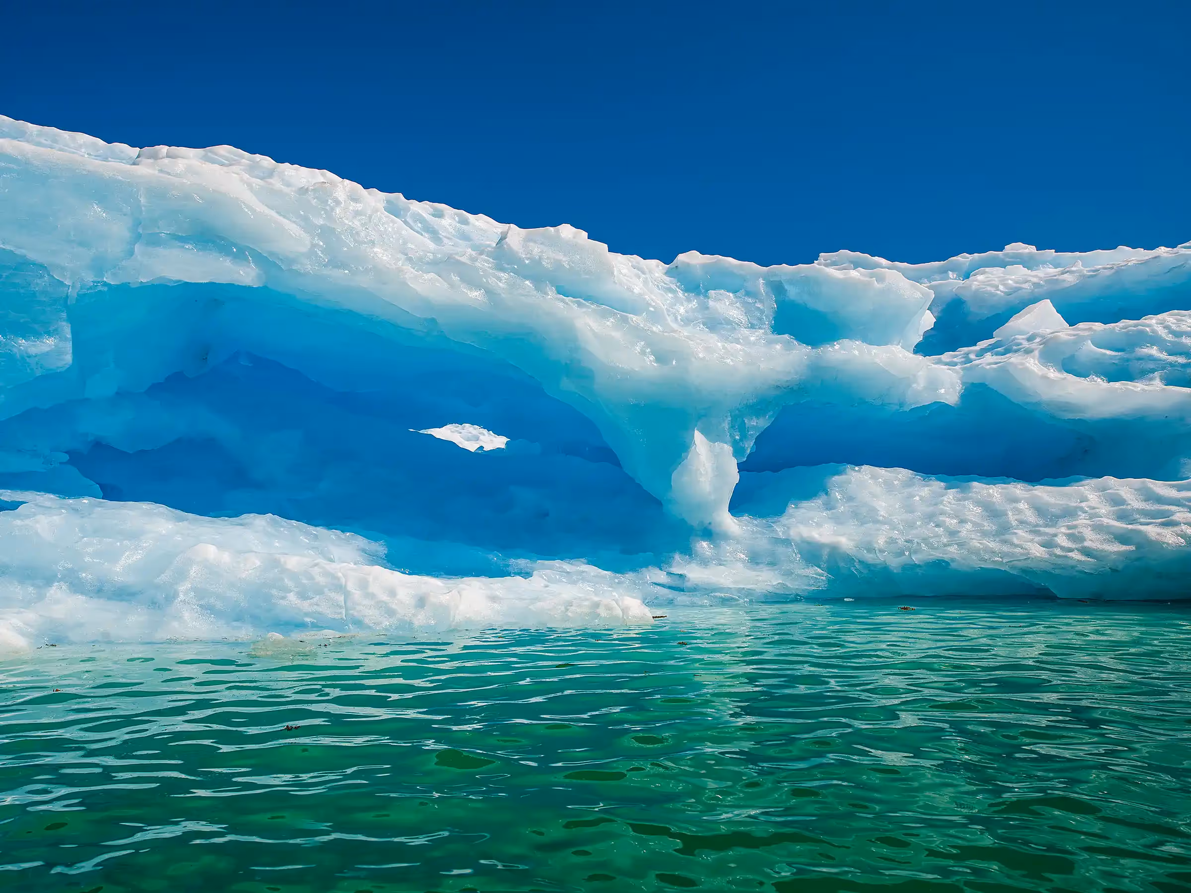 Alaska Wilderness Charters—LeConte Glacier—John Schnell Photography