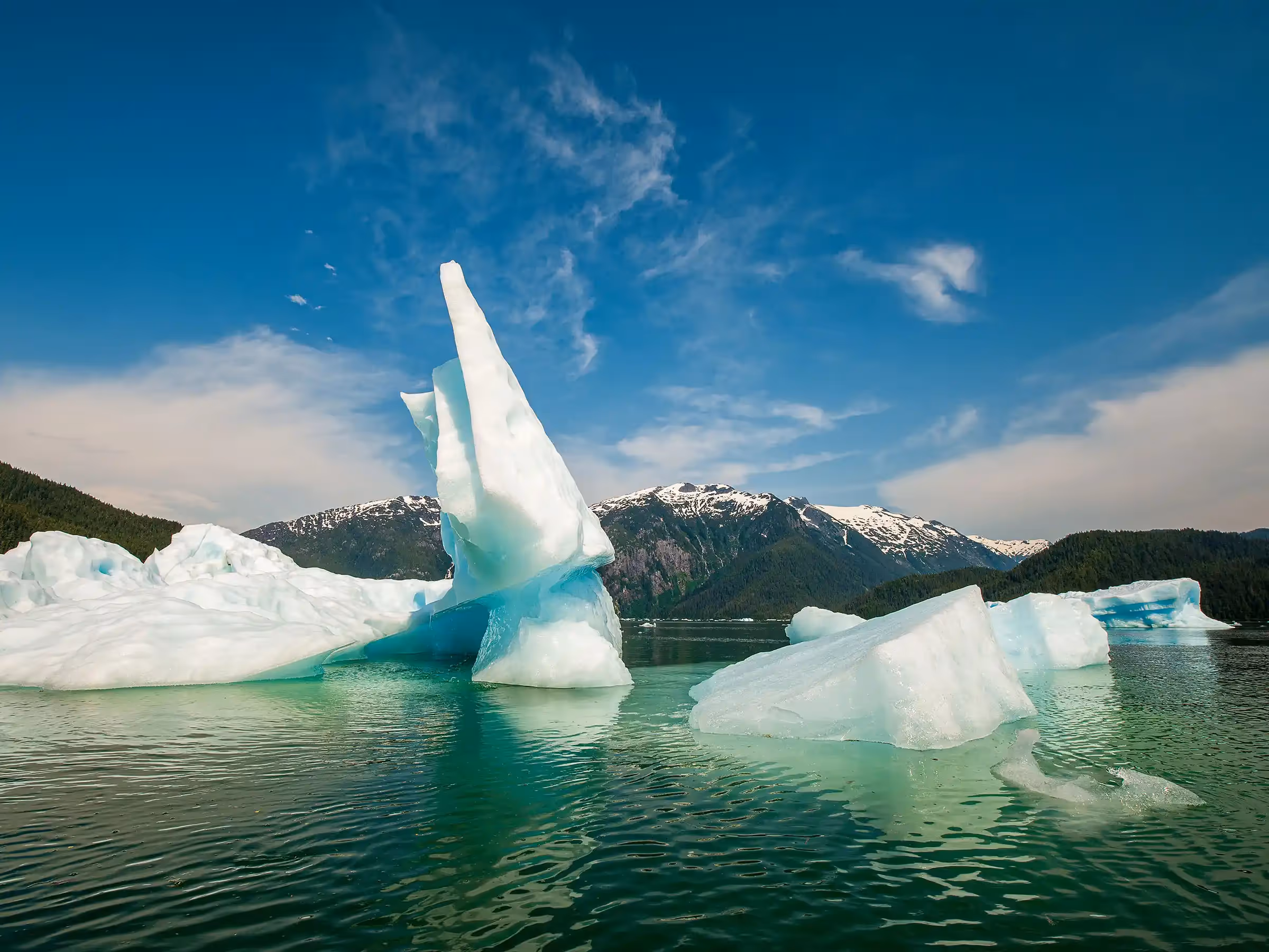 Alaska Wilderness Charters—LeConte Glacier—John Schnell Photography