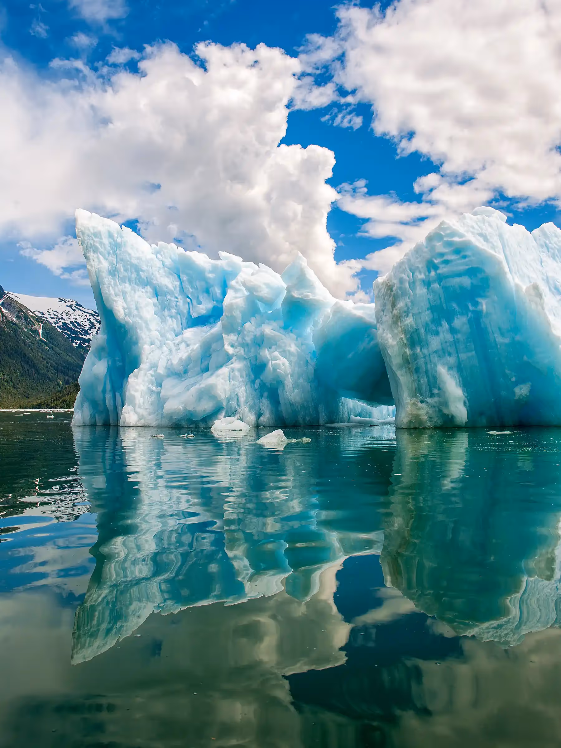 Alaska Wilderness Charters—LeConte Glacier—John Schnell Photography