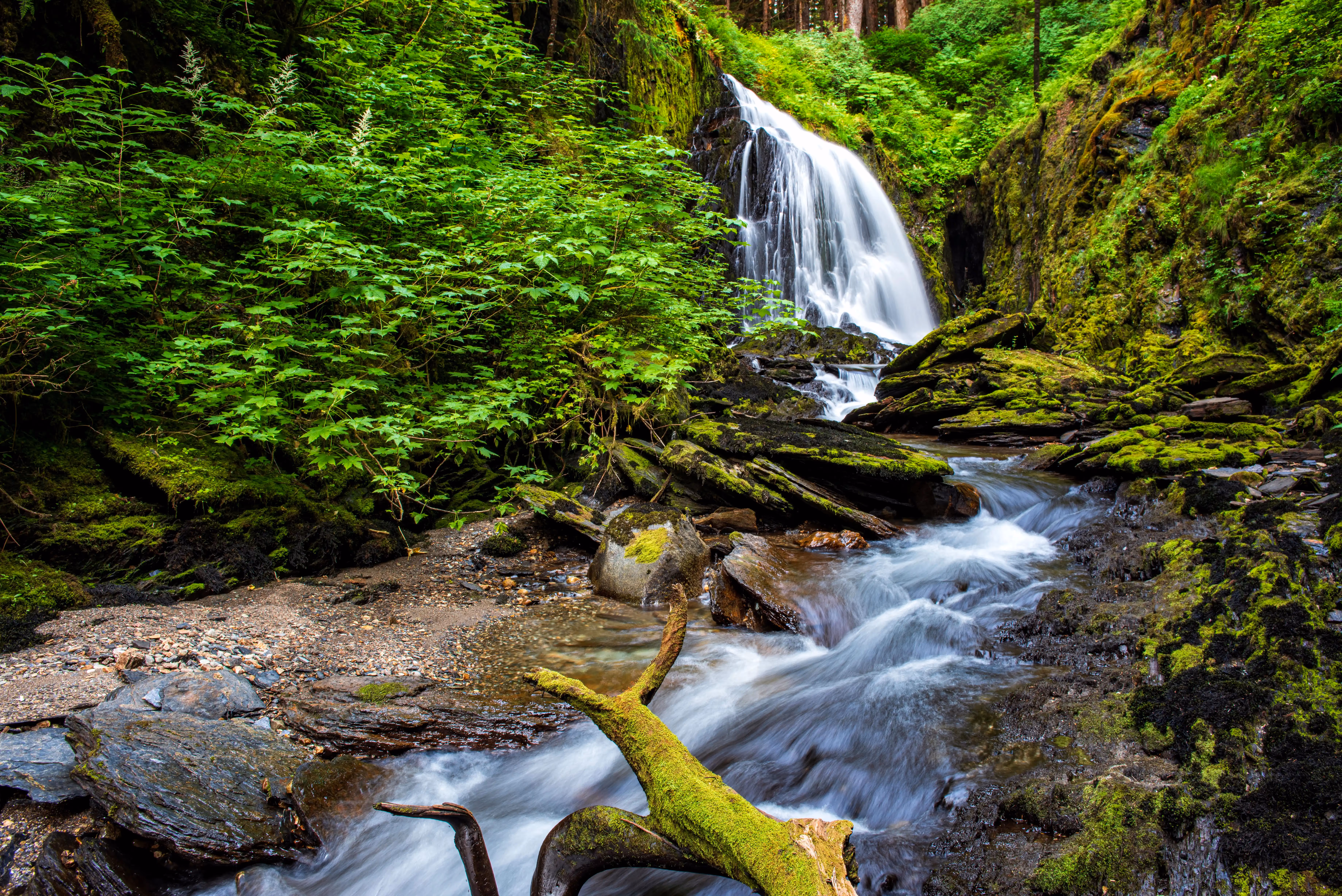 Tranquil waters of Sanford Cove surrounded by lush forests.