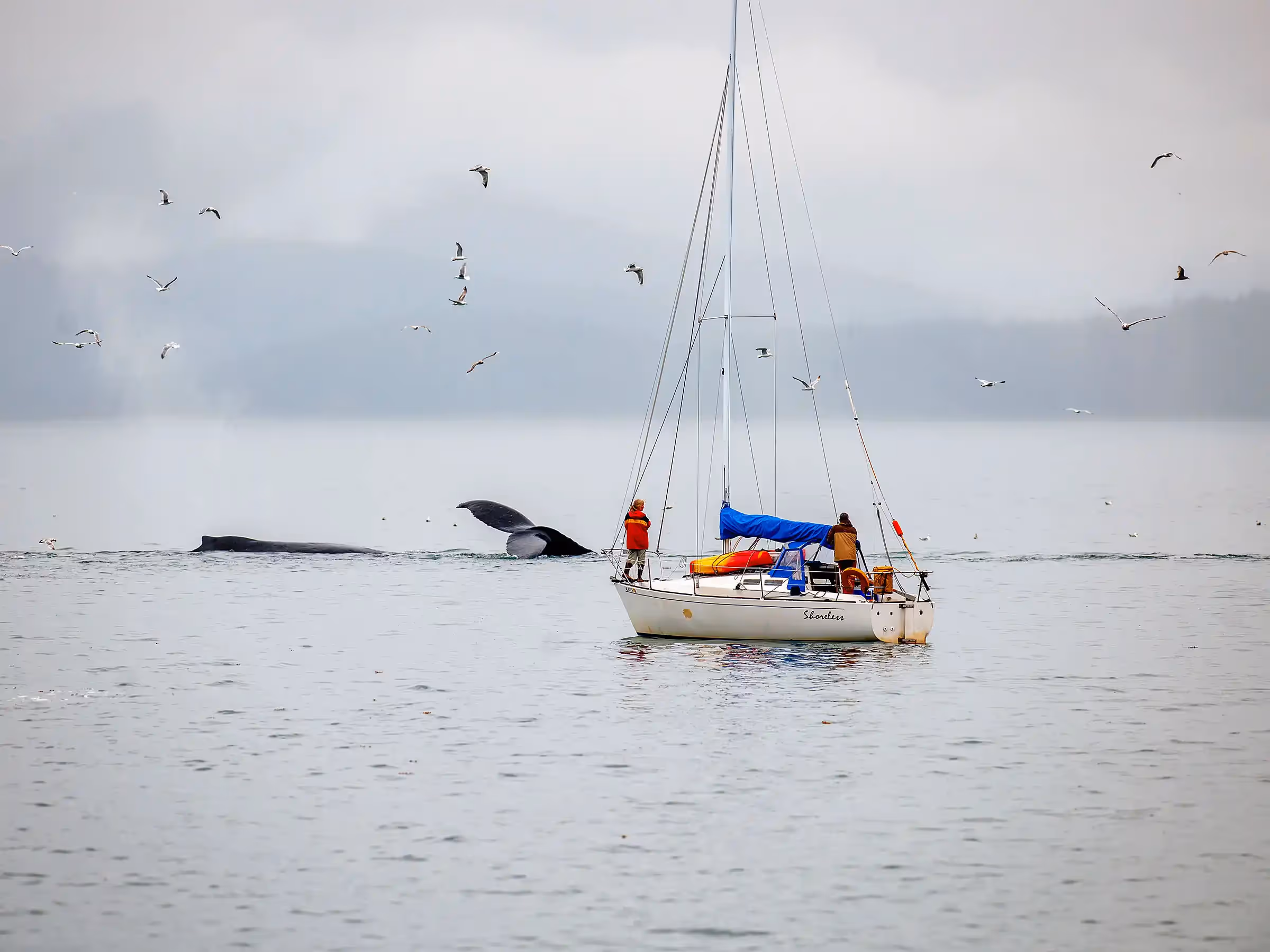 Alaska Wilderness Charters—Southeast Alaska Boats—John Schnell Photography