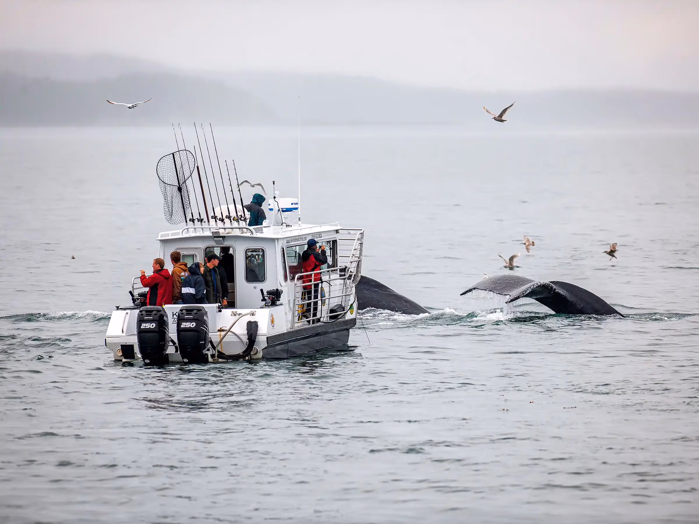 Alaska Wilderness Charters—Southeast Alaska Boats—John Schnell Photography