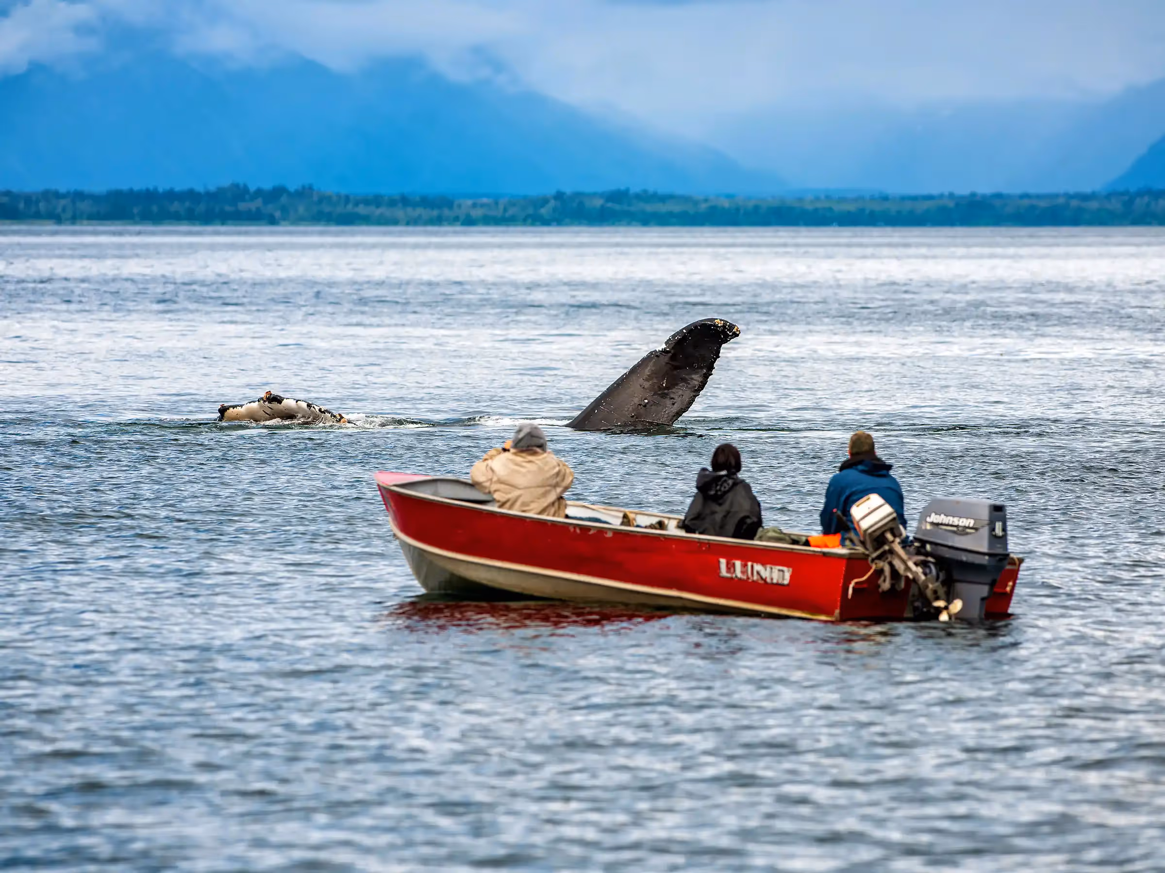 Alaska Wilderness Charters—Southeast Alaska Boats—John Schnell Photography