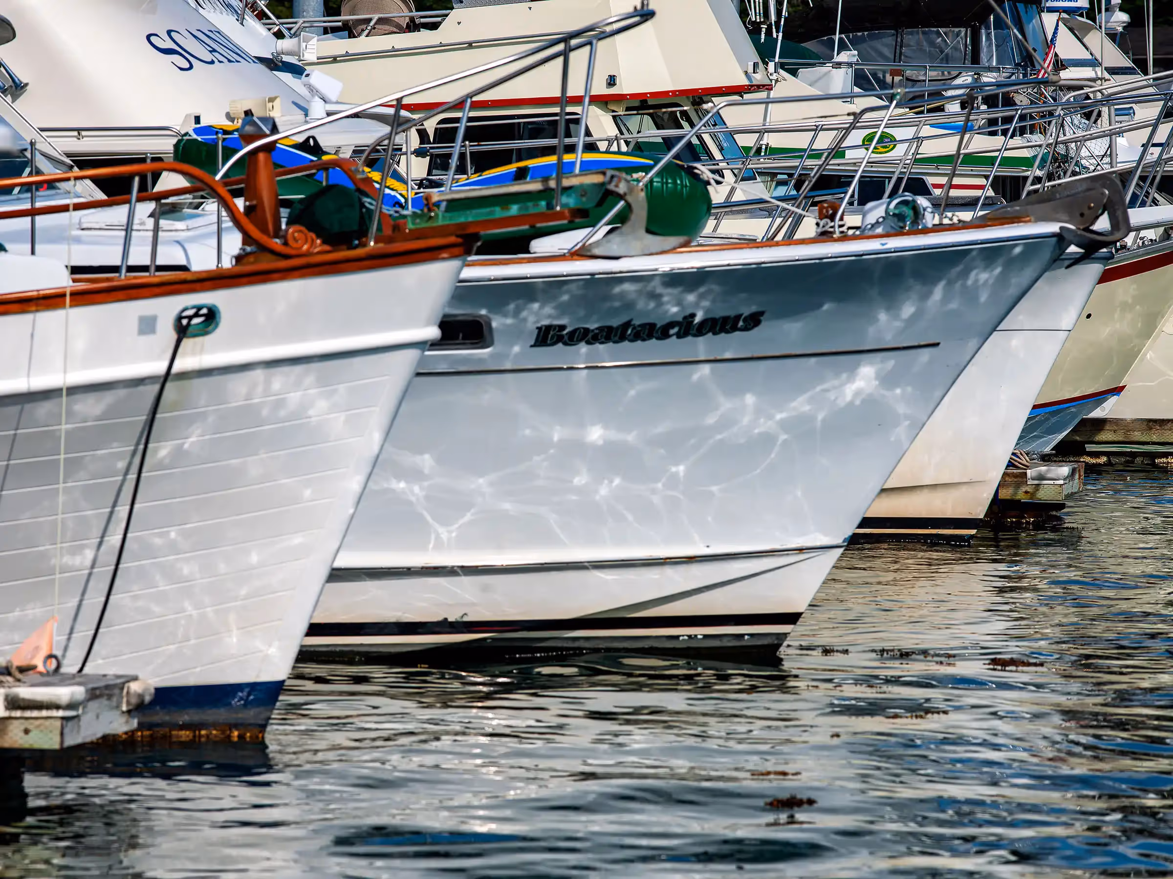 Alaska Wilderness Charters—Southeast Alaska Boats—John Schnell Photography