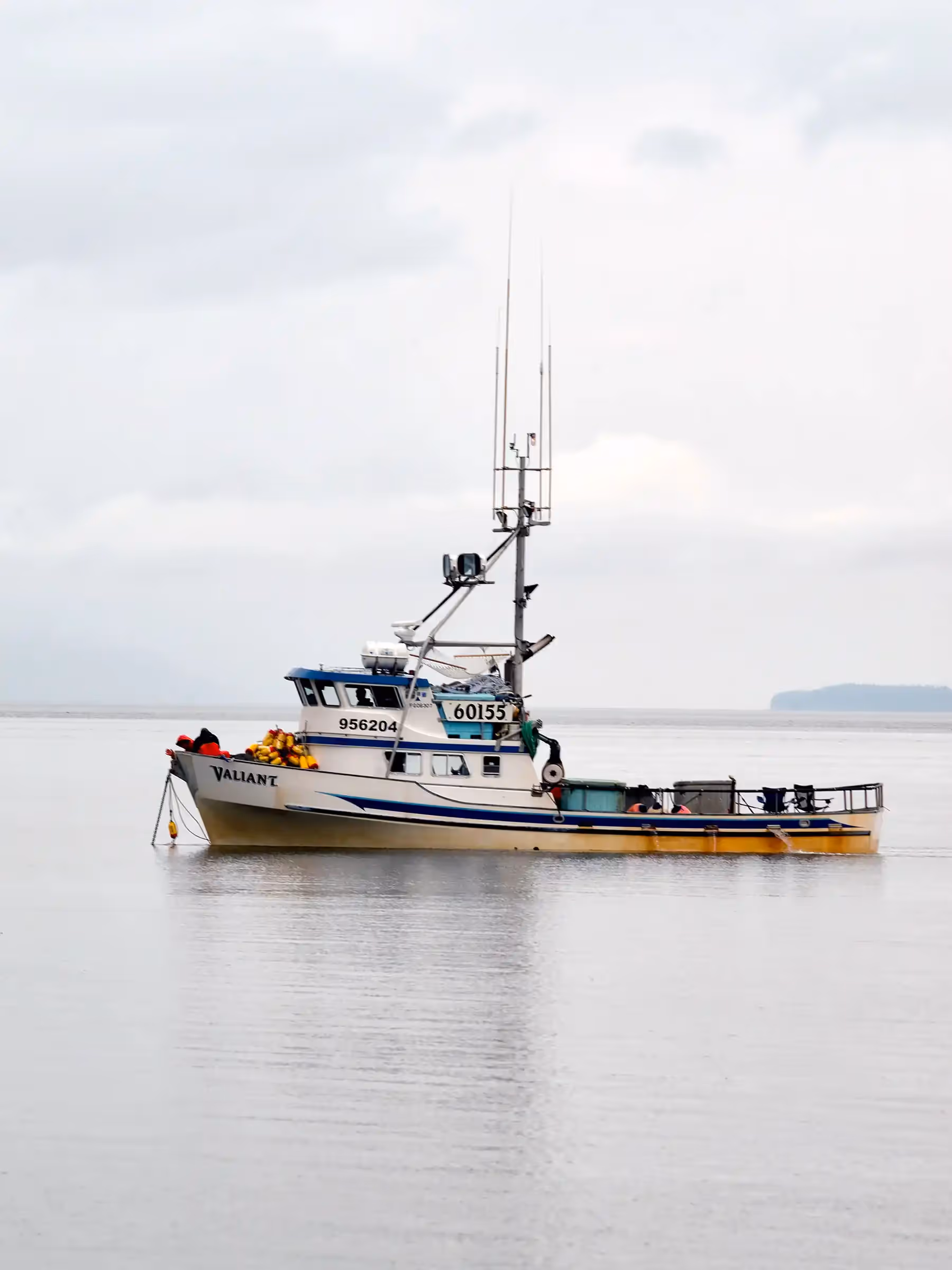 Alaska Wilderness Charters—Southeast Alaska Boats—John Schnell Photography