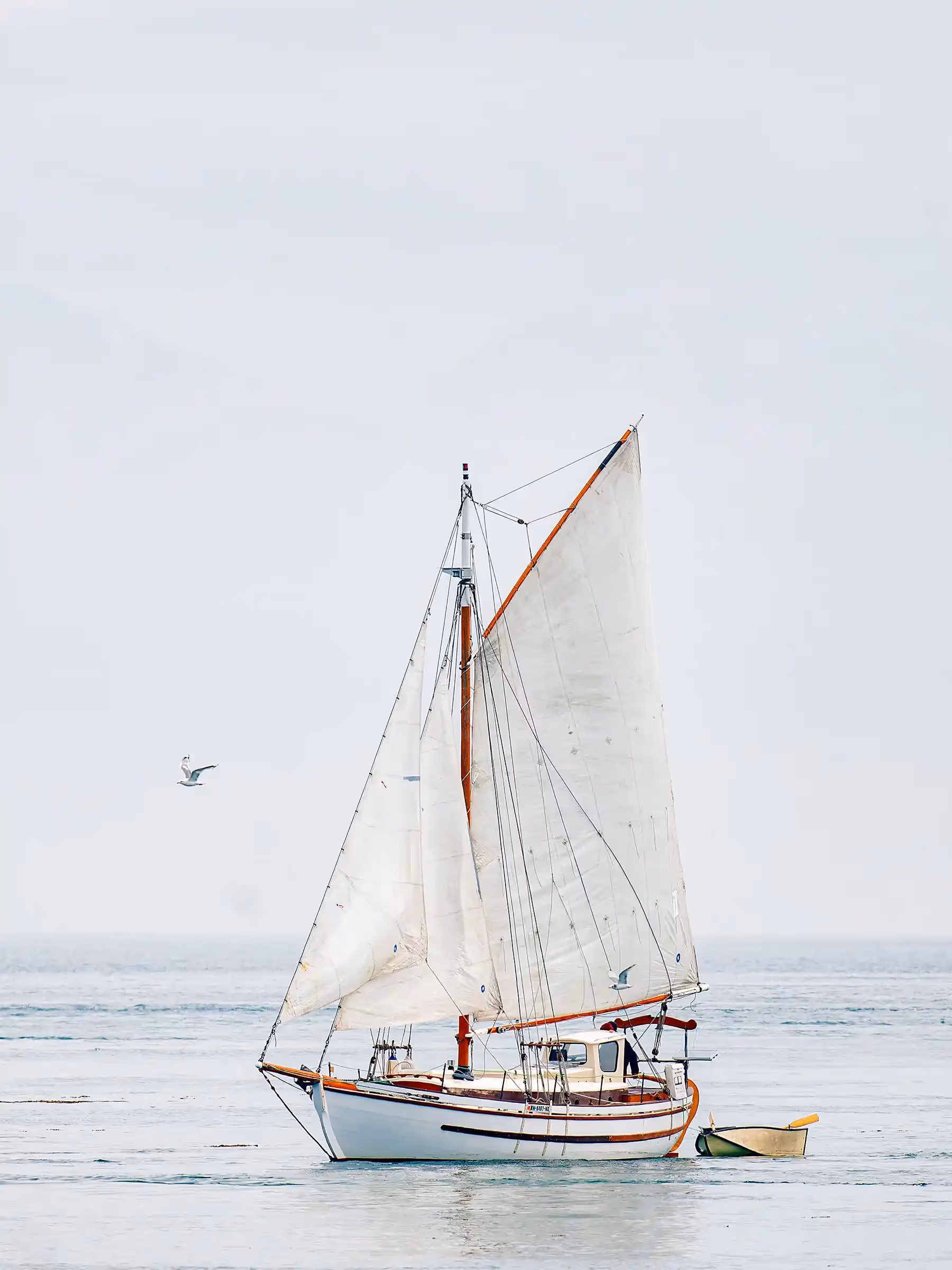 Alaska Wilderness Charters—Southeast Alaska Boats—John Schnell Photography