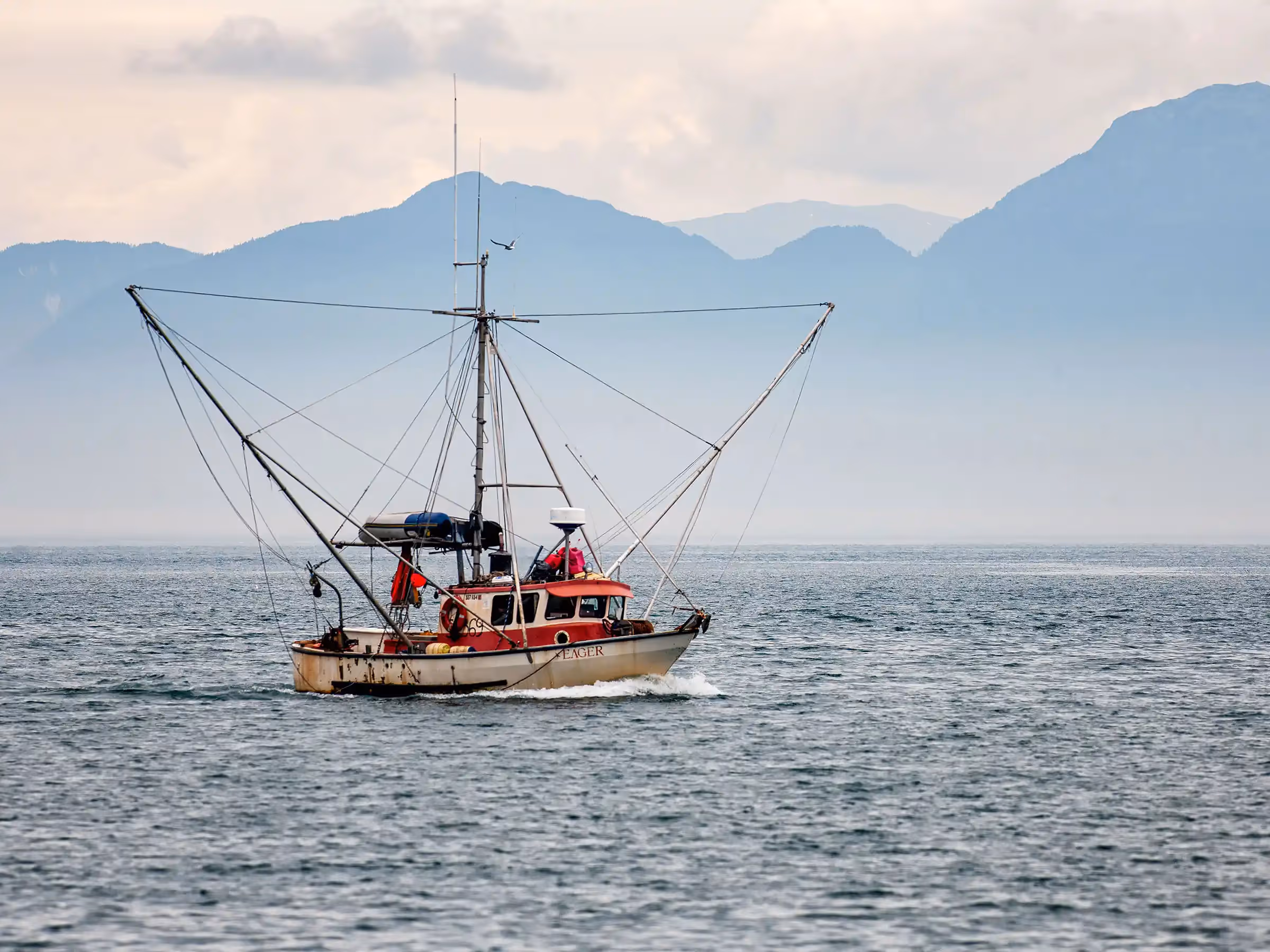 Alaska Wilderness Charters—Commercial Fishing—John Schnell Photography