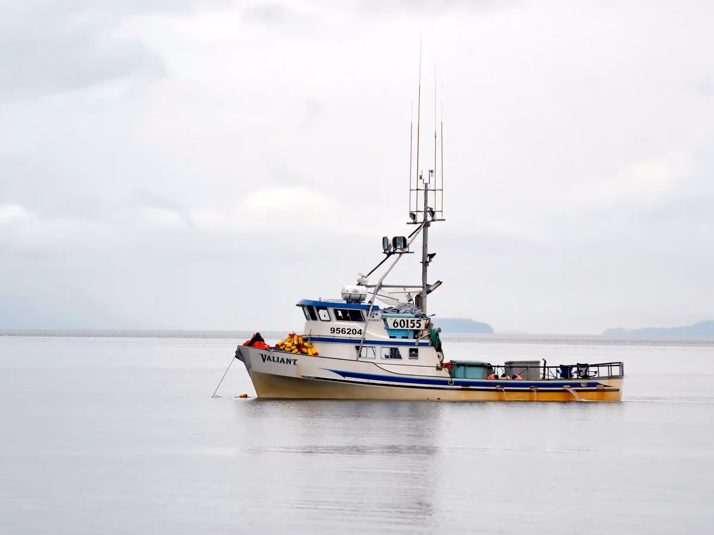 Alaska Wilderness Charters—Commercial Fishing—John Schnell Photography
