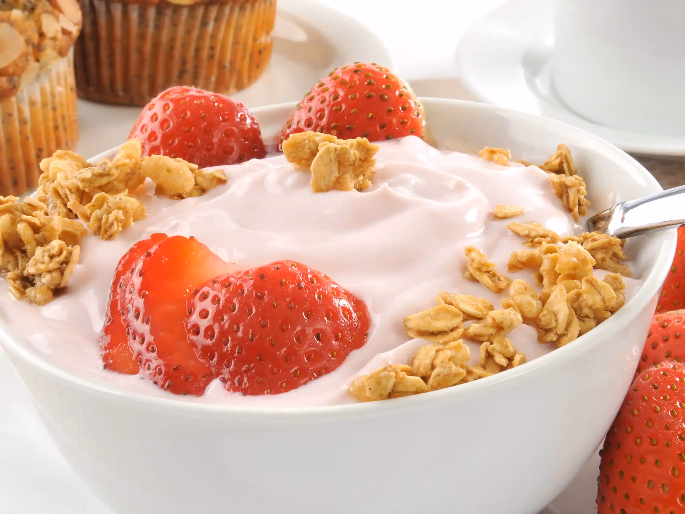 Alaska Wilderness Charters—Gourmet Cuisine—John Schnell Photography