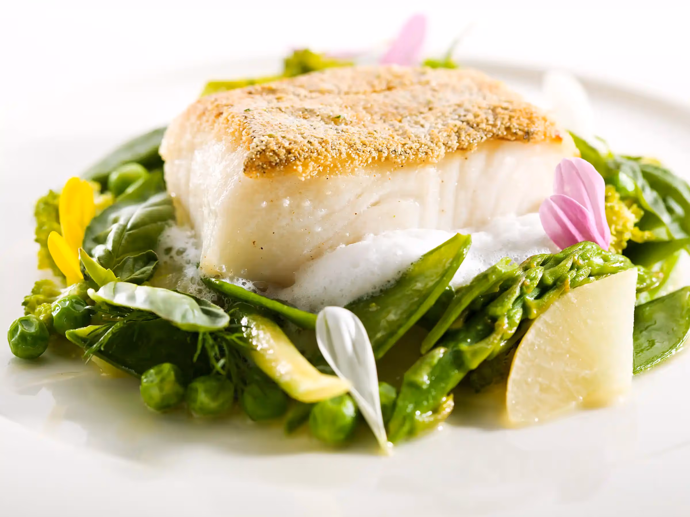 Alaska Wilderness Charters—Gourmet Cuisine—John Schnell Photography