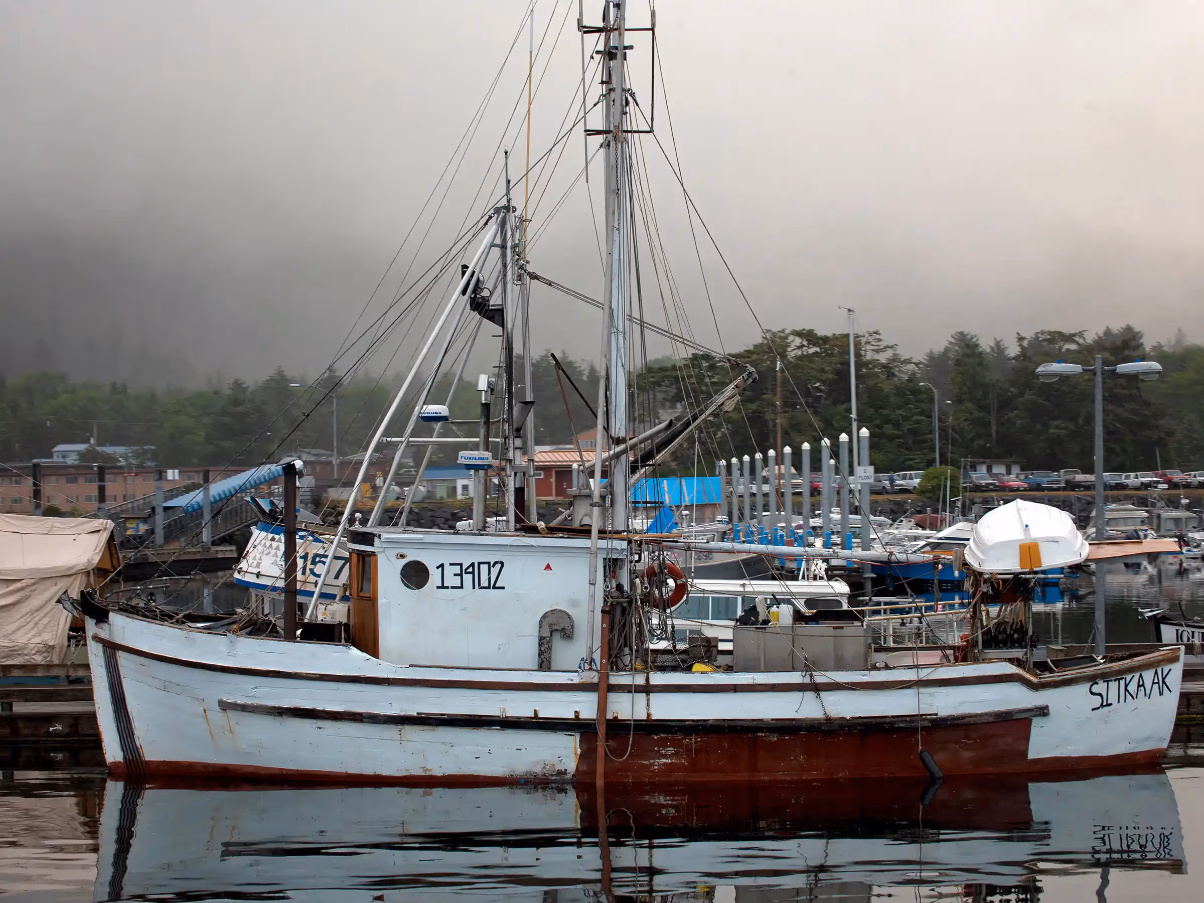 Alaska Wilderness Charters—Sitka—John Schnell Photography