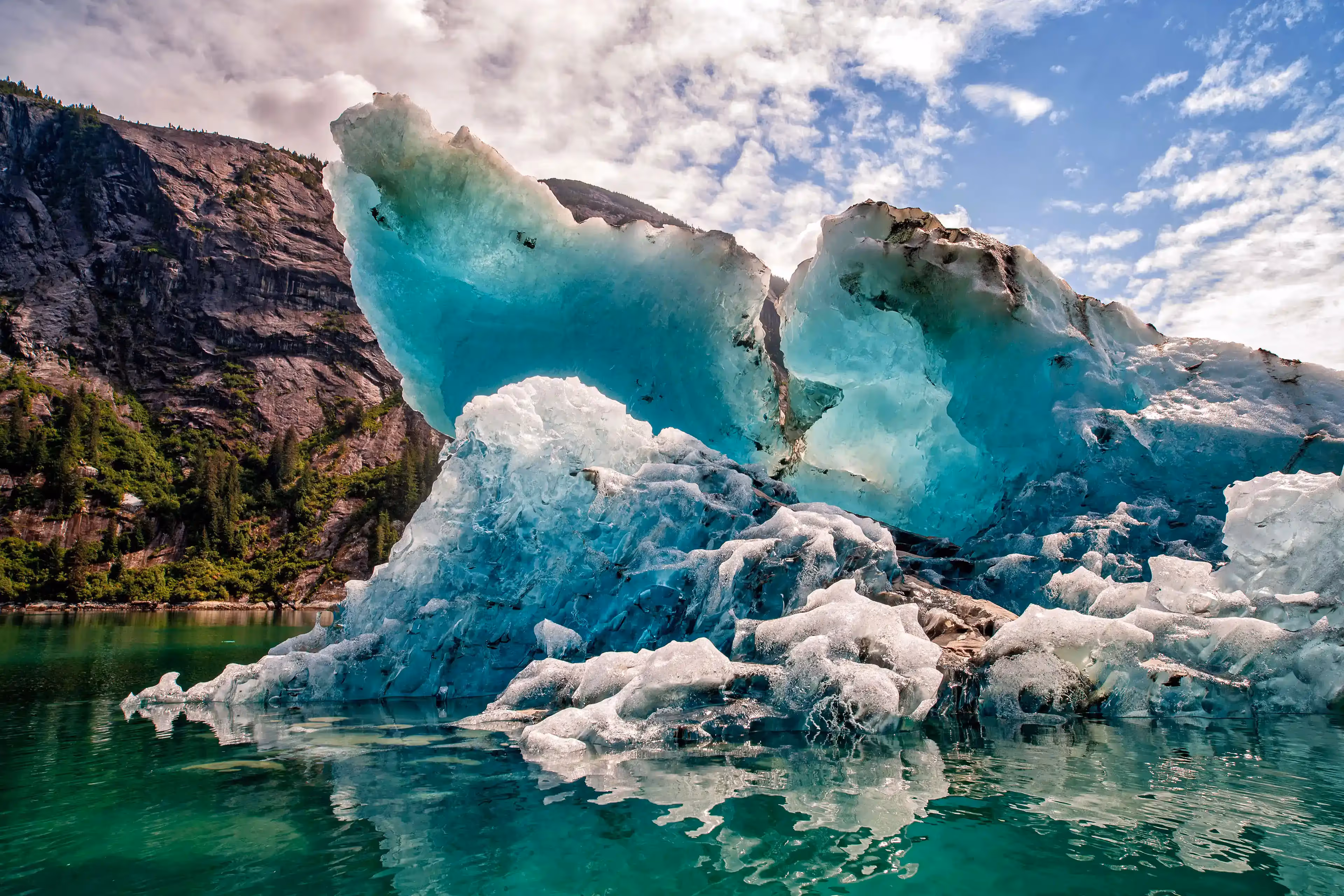 Ford's Terror Wilderness