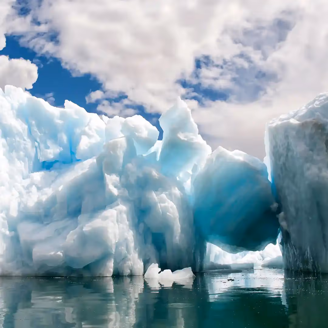 Icebergs in LeConte Glacier Bay