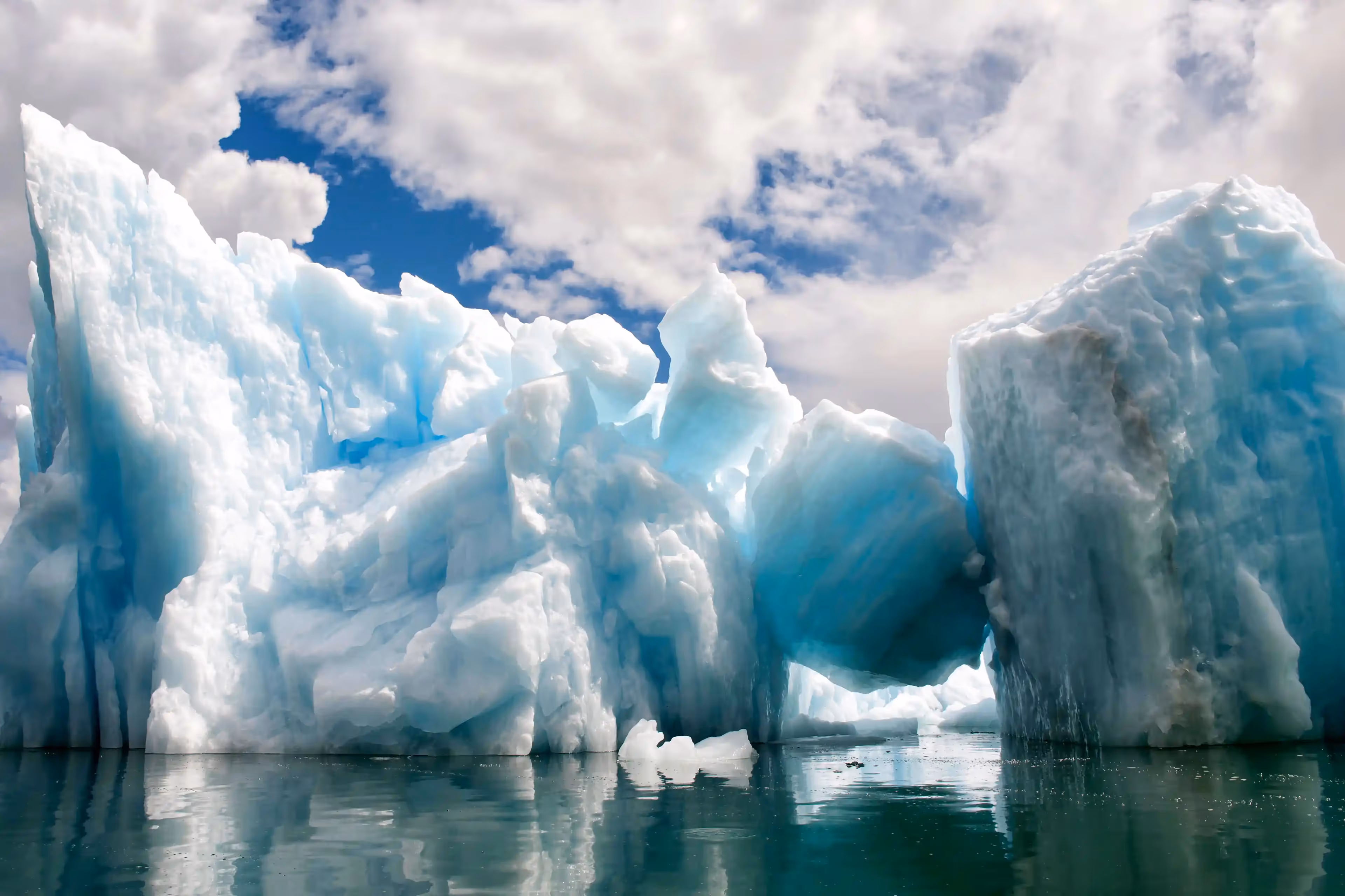 Icebergs in LeConte Glacier Bay