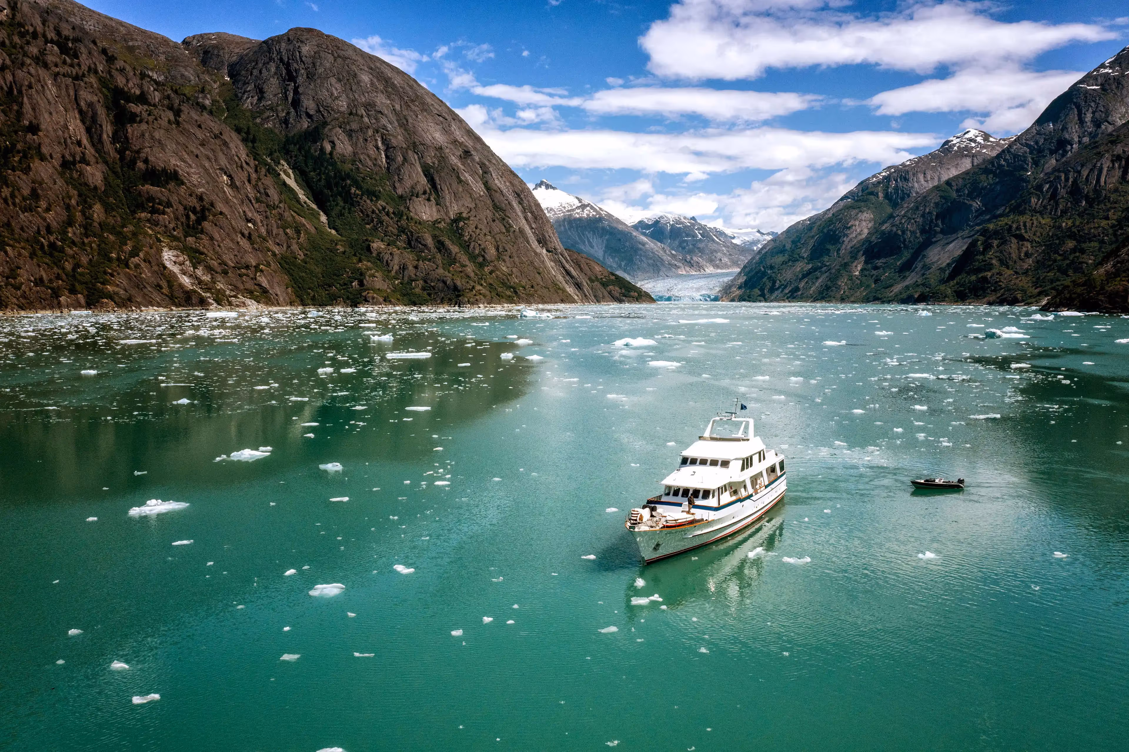 Glacier Bear adrift in Endicott Arm