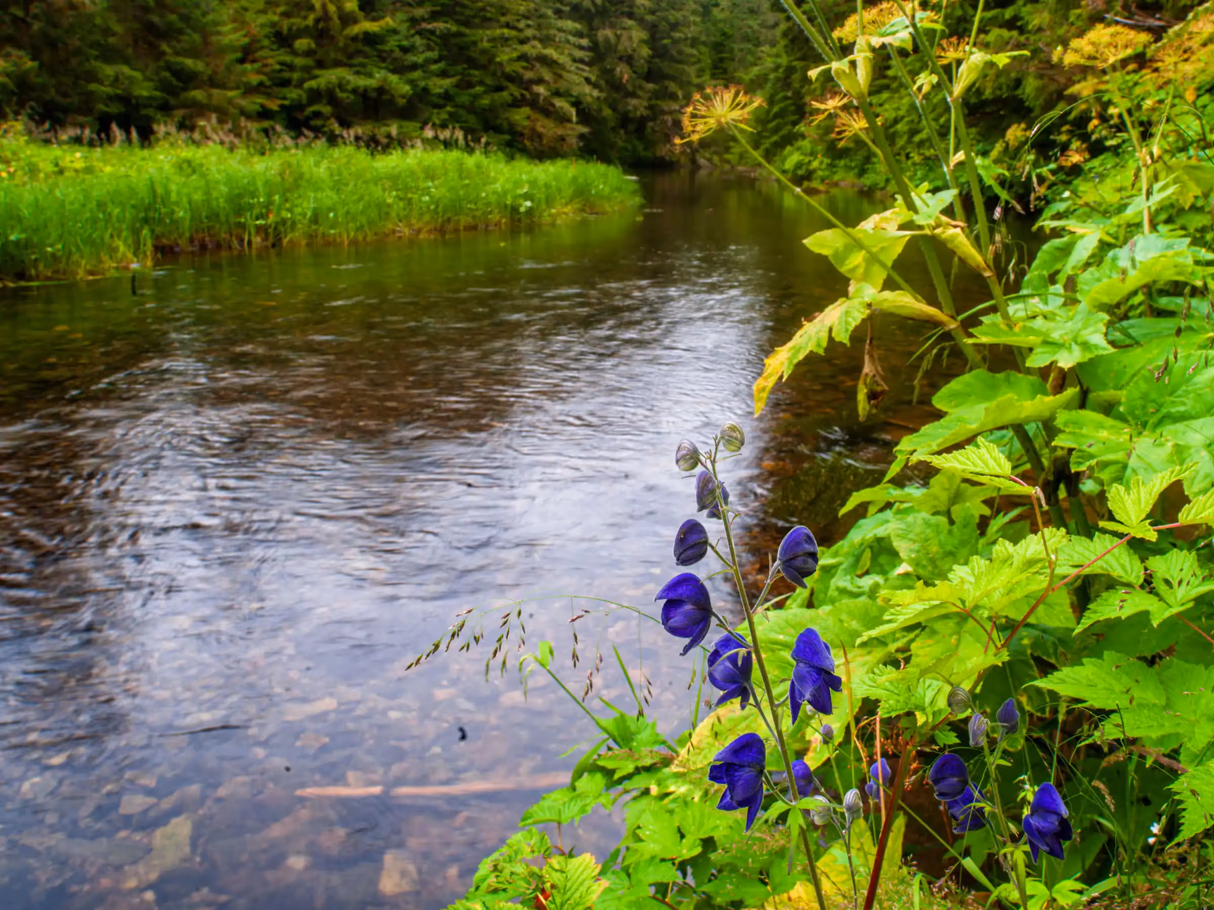 © John Schnell Photography. Alaska Wilderness Charters—Fly Fishing.