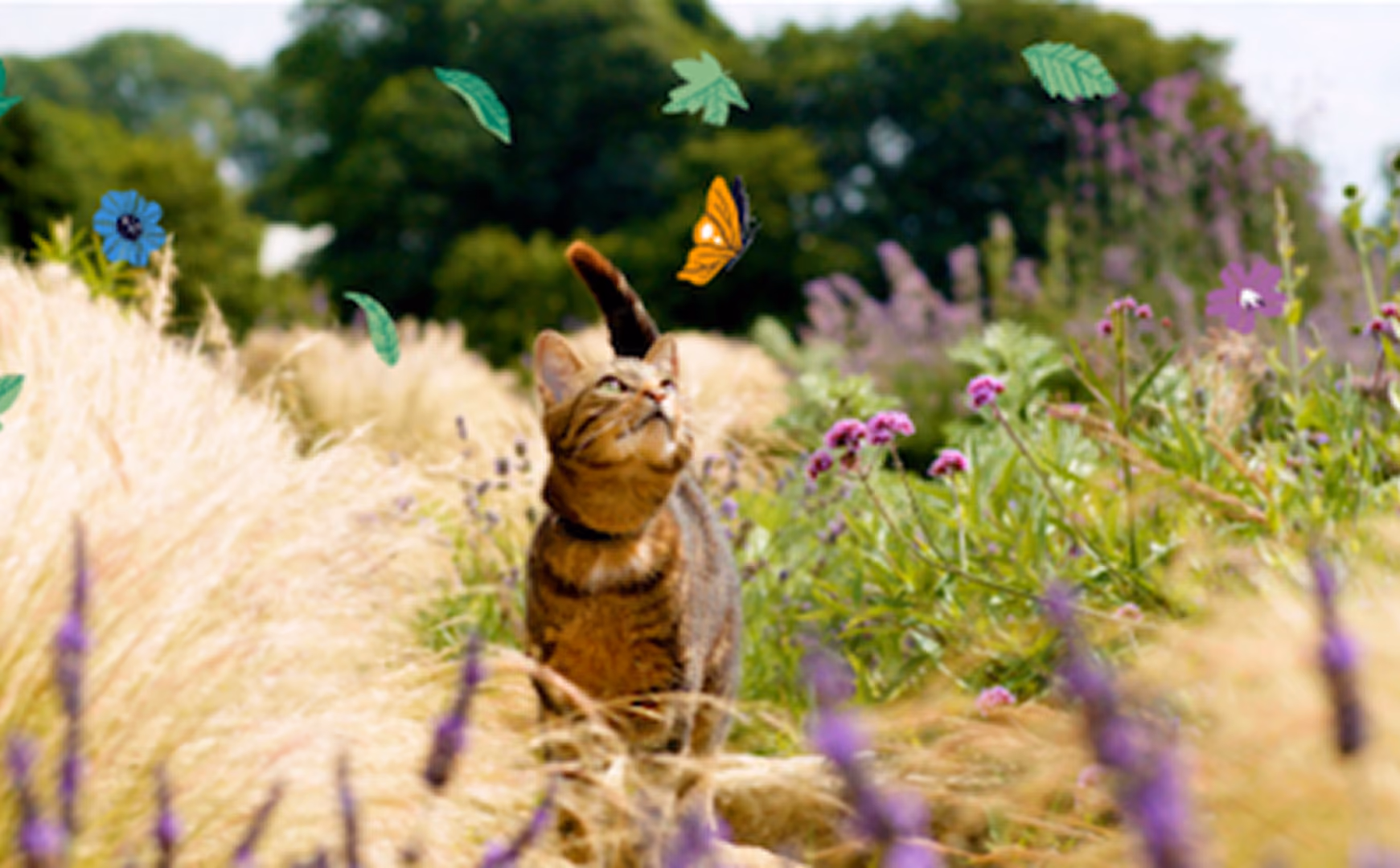 A tabby cat with dark stripes sitting in a field of tall grass and purple flowers, looking up at an orange butterfly and several floating leaves around it.
