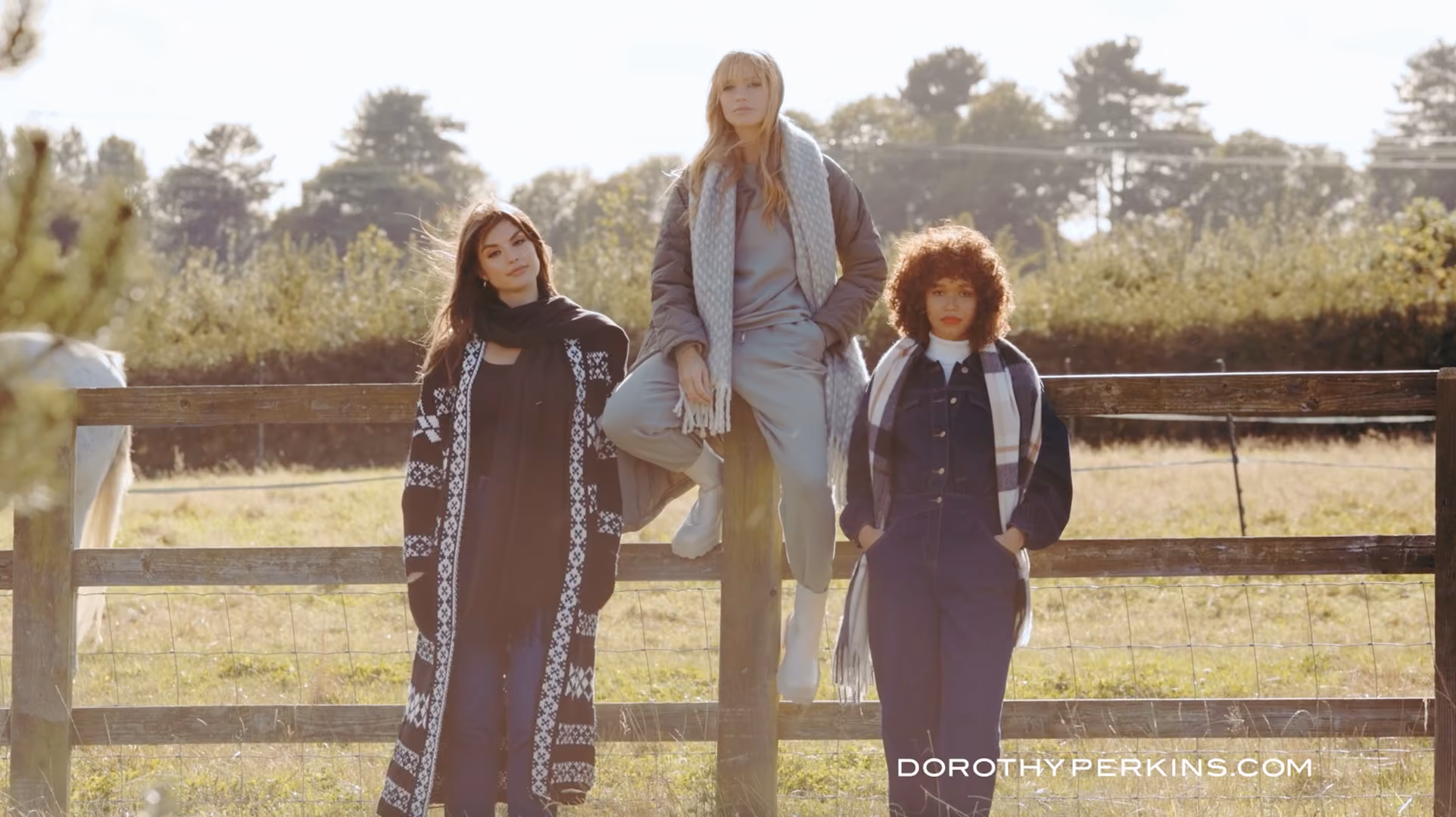 Three models posing outdoors by a wooden fence in a field, from a Dorothy Perkins campaign