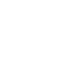 FSI logo white