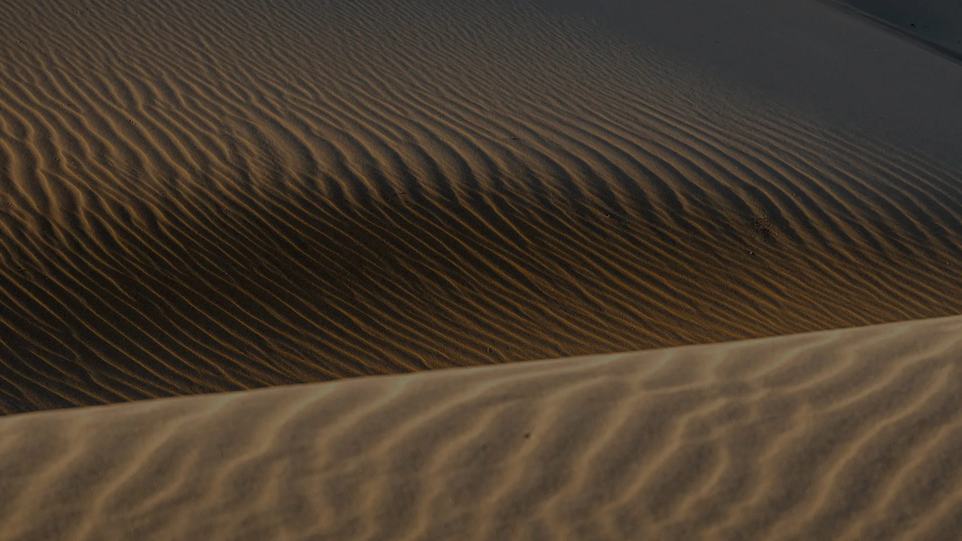 Close-up of sand dune patterns with light and shadow creating rippled textures on the surface | Merlon