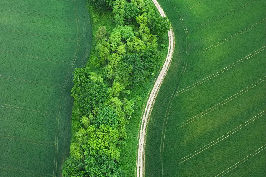 Aerial view of a winding dirt path between dense green trees and grassy fields. | Merlon