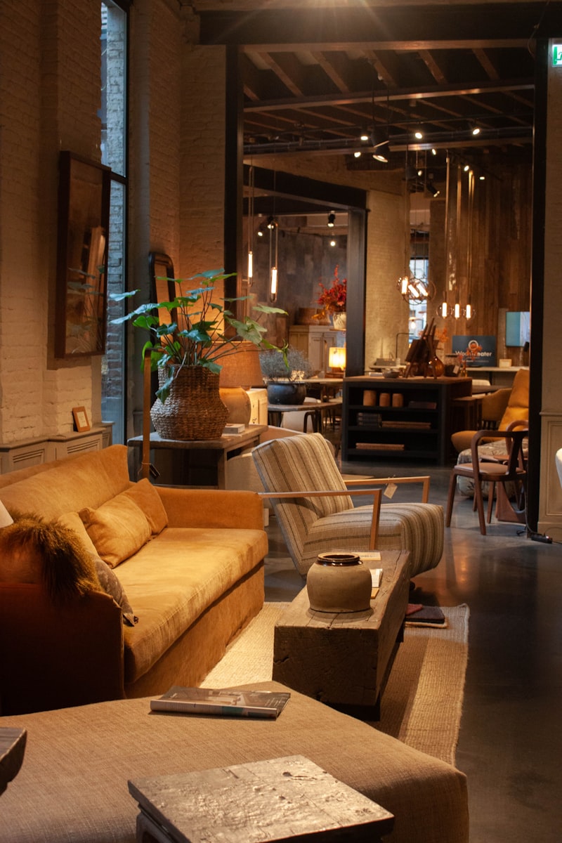 Cosy modern living room with a plush rug, soft seating, and warm afternoon lighting