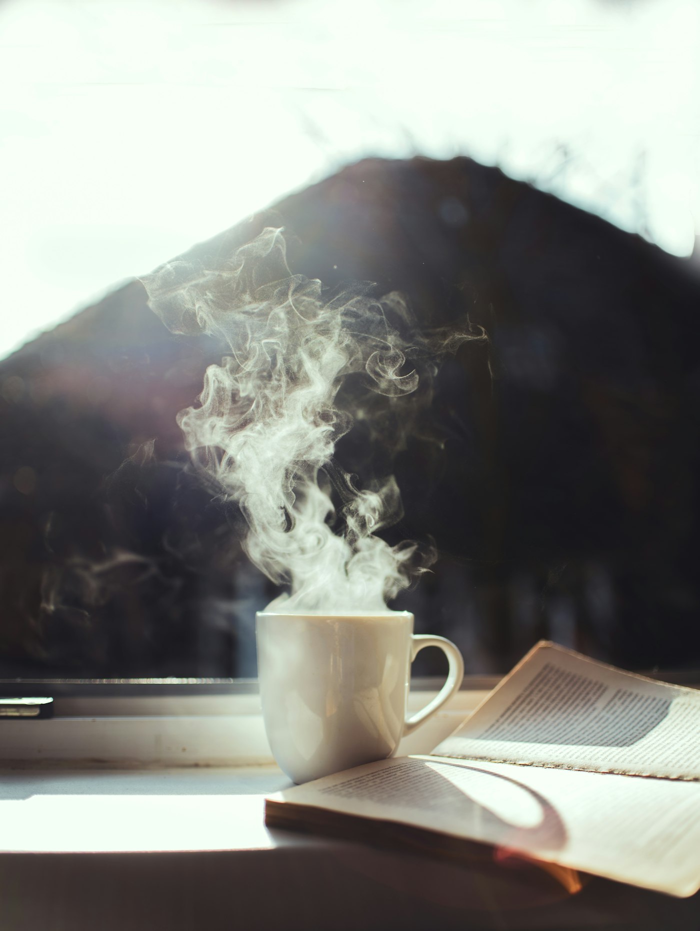 A cup of coffee and an open book resting on a window sill