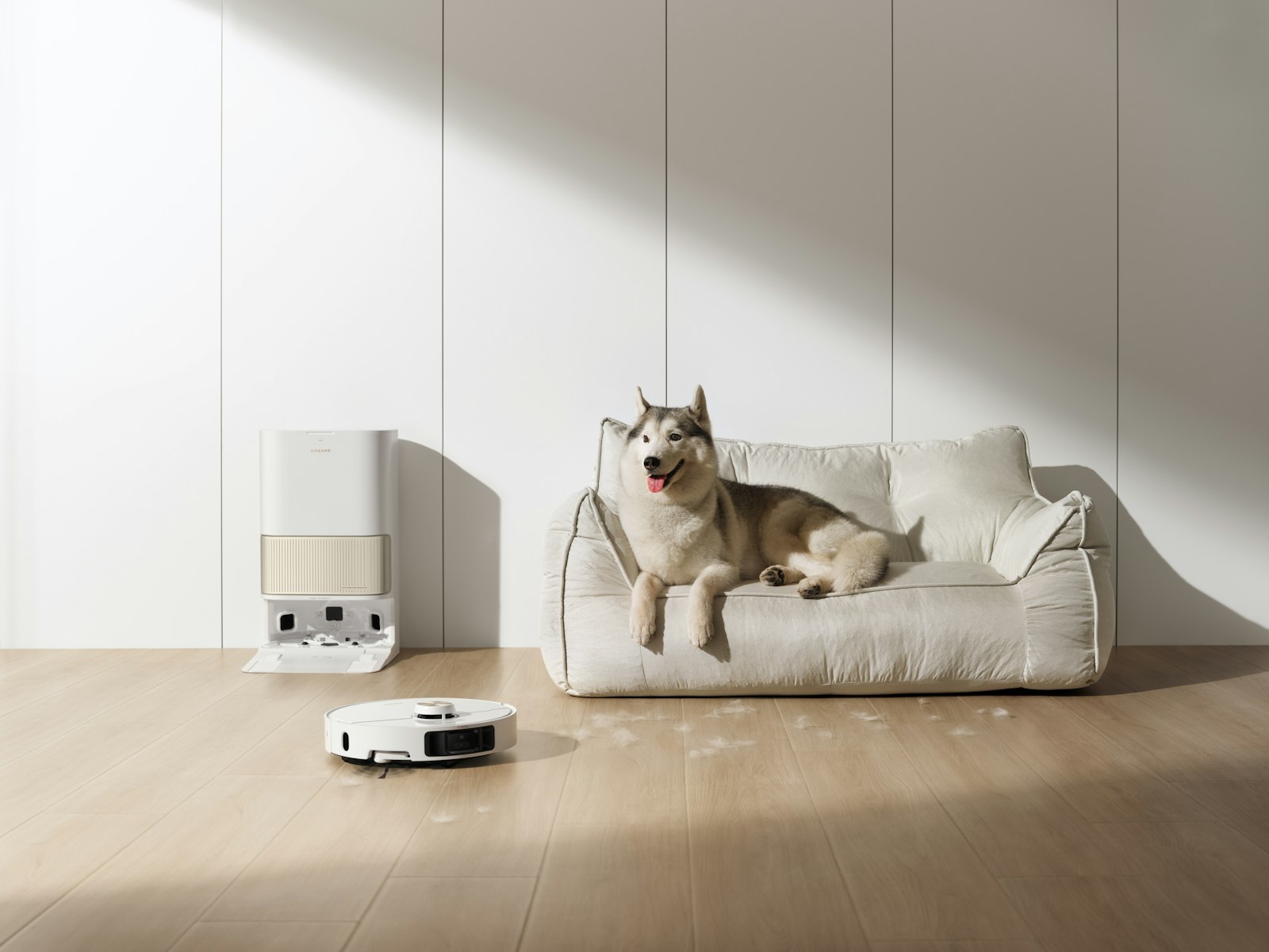 A husky resting on a fabric sofa while a robot vacuum tidies fur off the floor