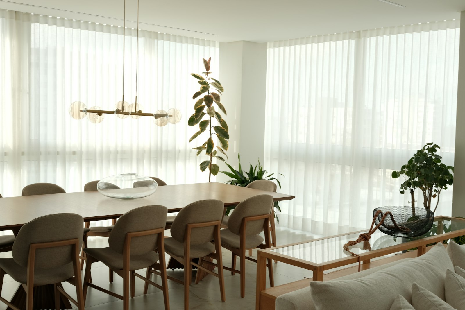 Bright dining area with sheer curtains, wooden table and indoor plants in a modern flat