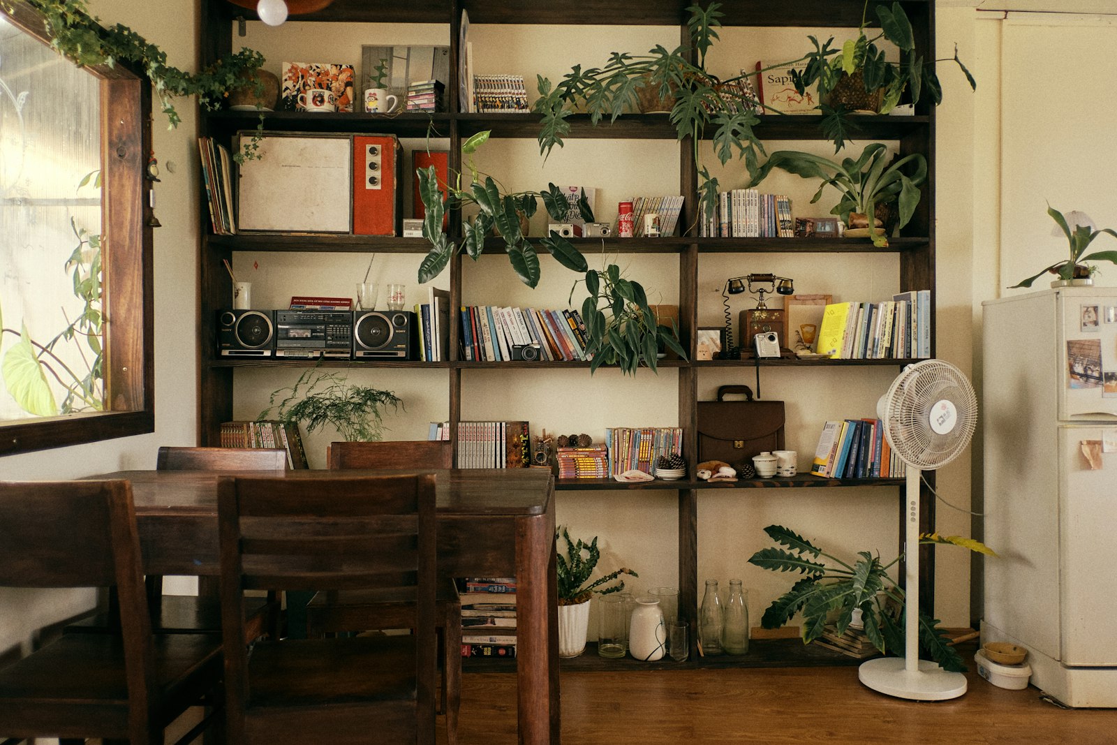 Lived-in shelving in a home filled with books, plants, an old radio and a standing fan