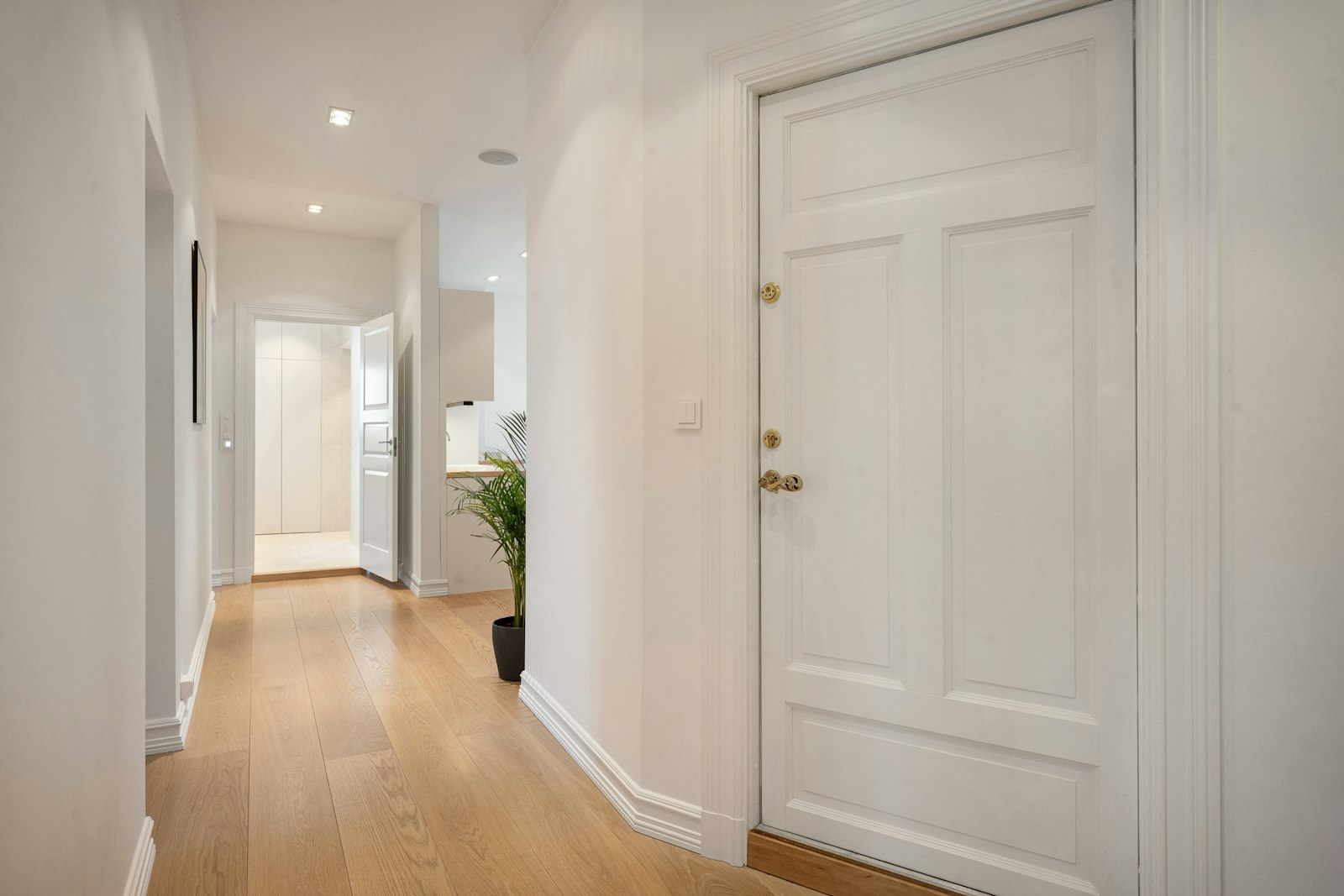 Bright flat hallway with a wooden floor, a potted plant and a plain closed white door