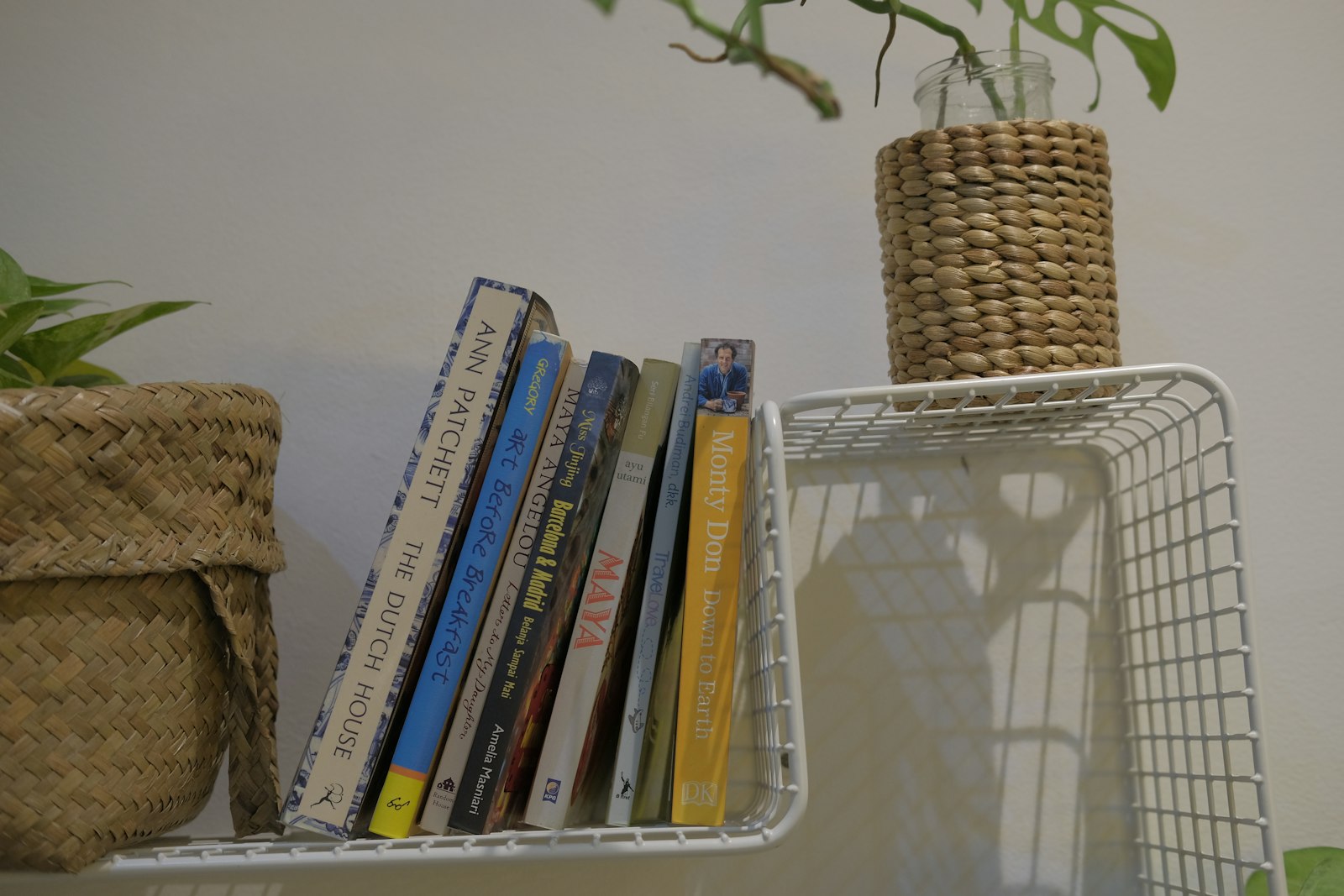 Bright shelf in a home holding books, a woven basket and a trailing plant