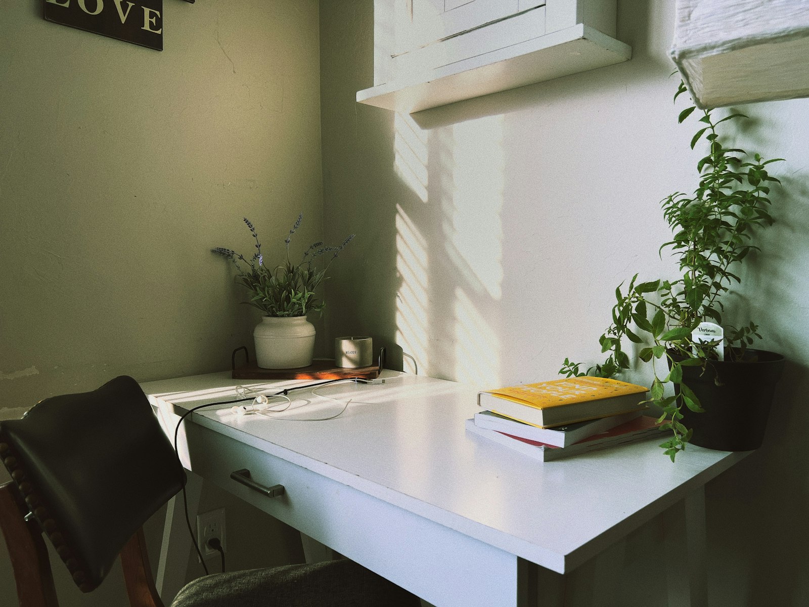 Afternoon sunlight falling across a small white study desk with a potted plant, a stack of books and a trailing houseplant