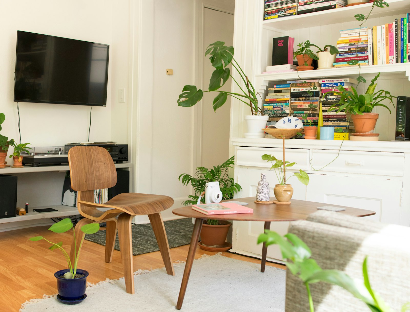 A bright flat living room with houseplants, a low wooden table and chair, bookshelves and a wall-mounted television