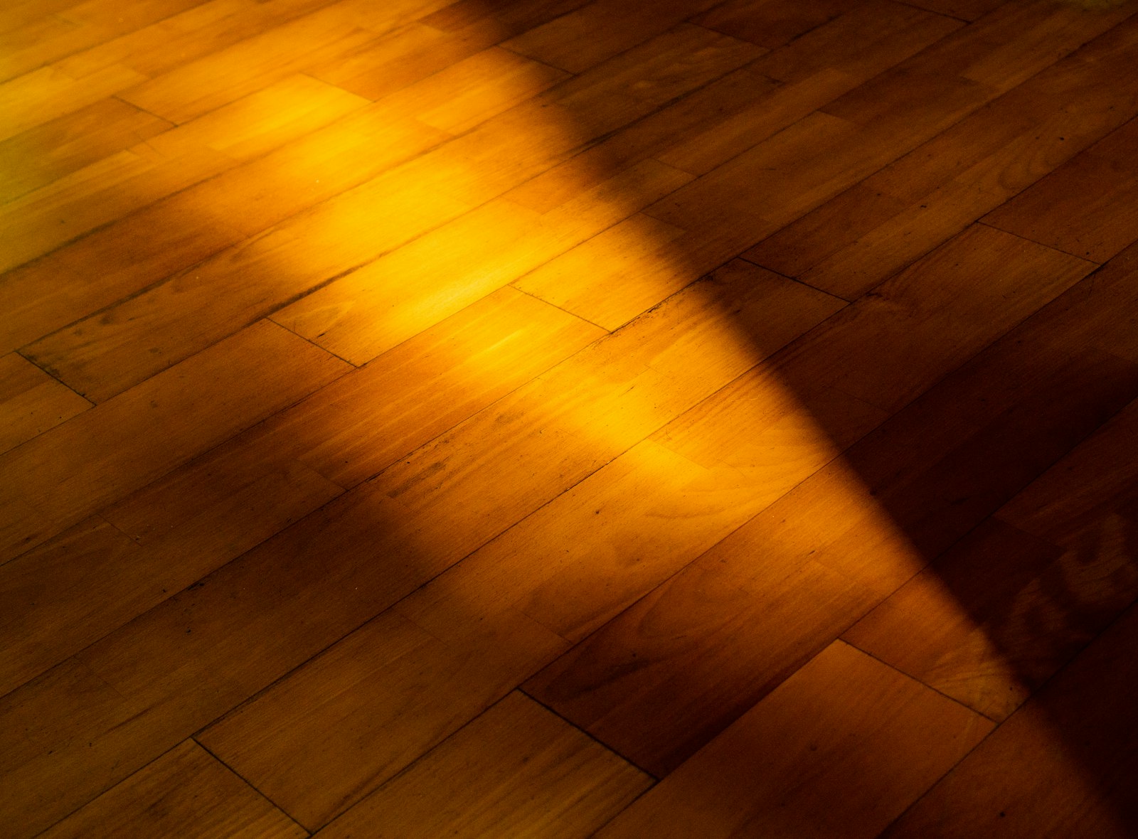 Warm afternoon sunlight falling in a diagonal band across a wooden parquet floor