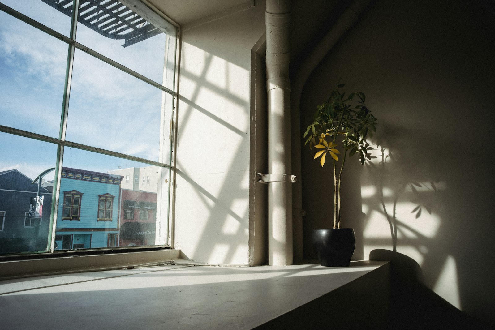 Sunlight coming through a large apartment window with a potted plant on the sill