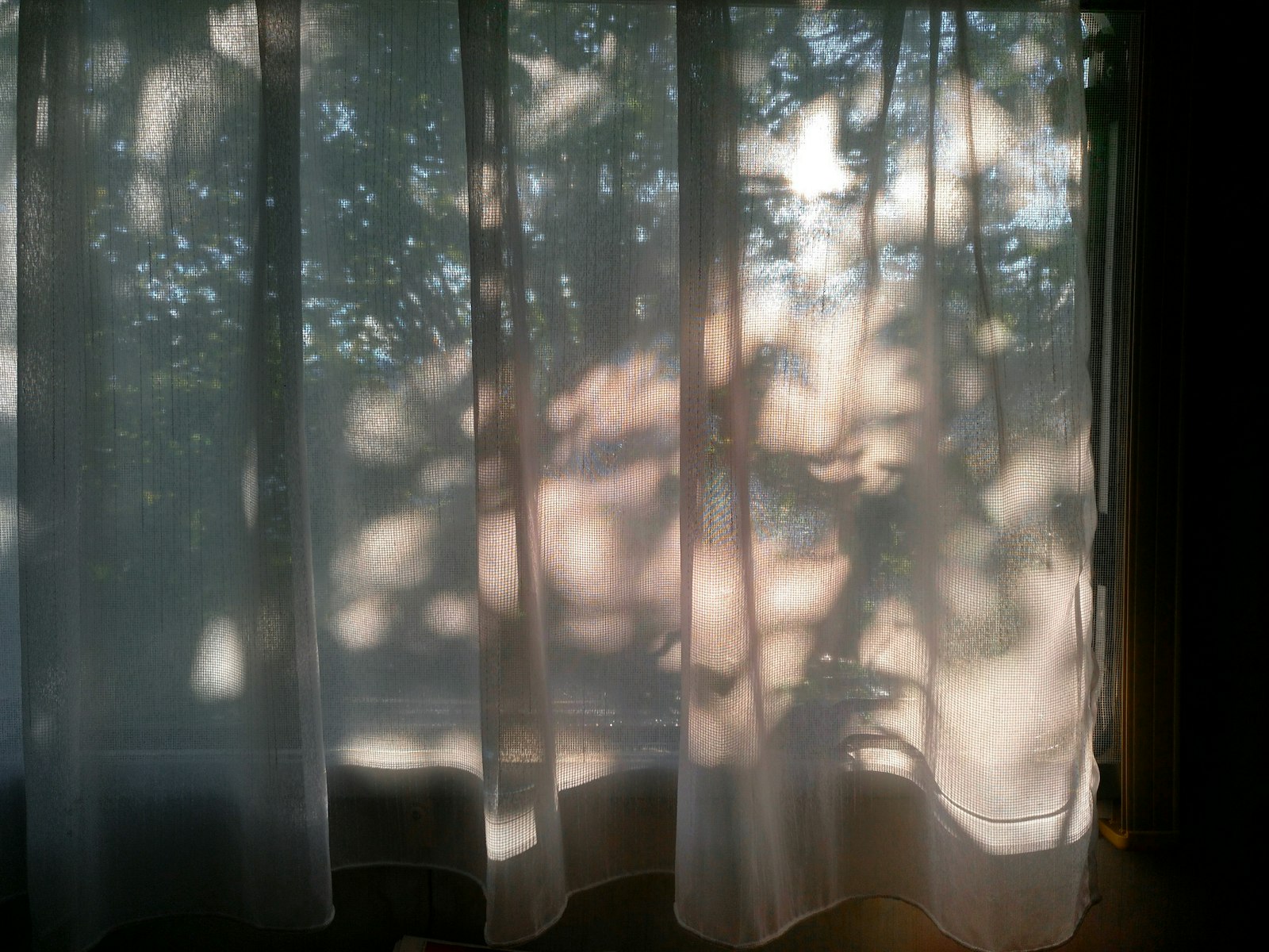 Sunlight and leaf shadows falling through a sheer curtain at a window