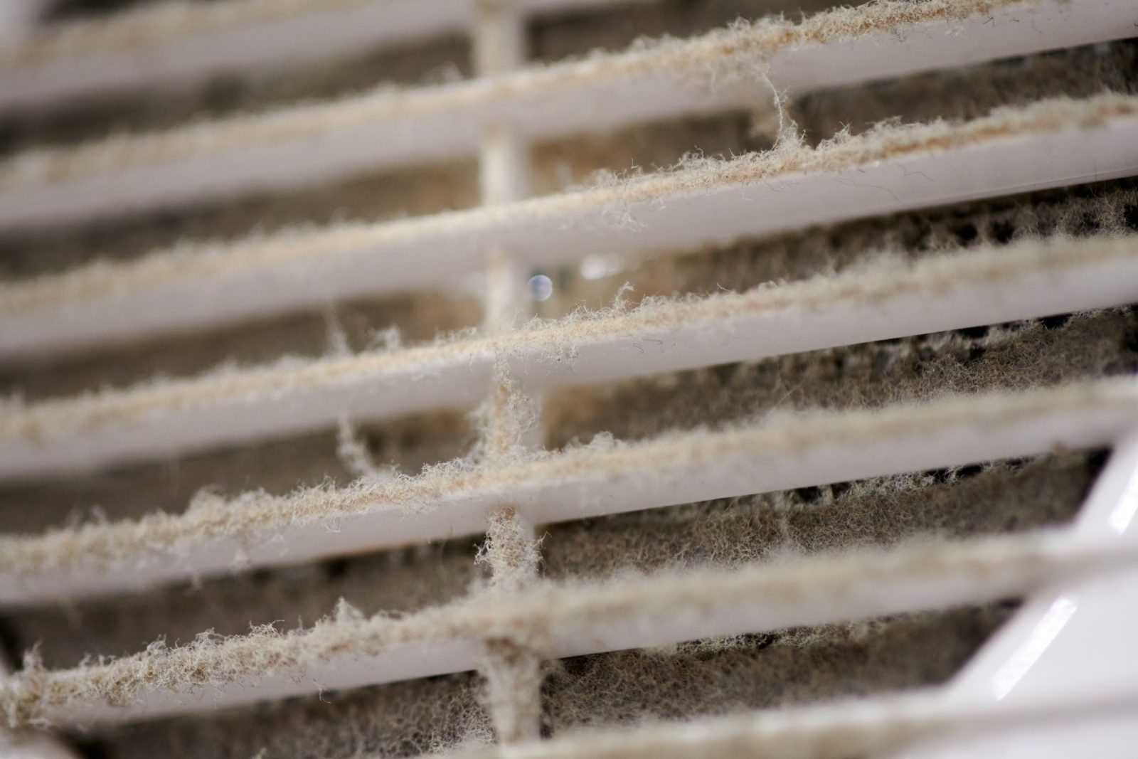 Close-up of thick felted dust built up along the slats of a ventilation grille