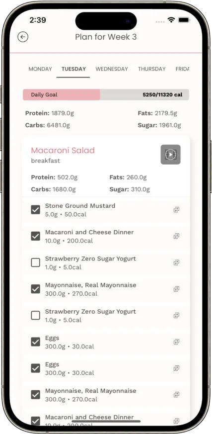 Weekly Plan Calendar