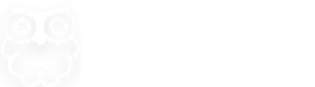 Owl eye logo