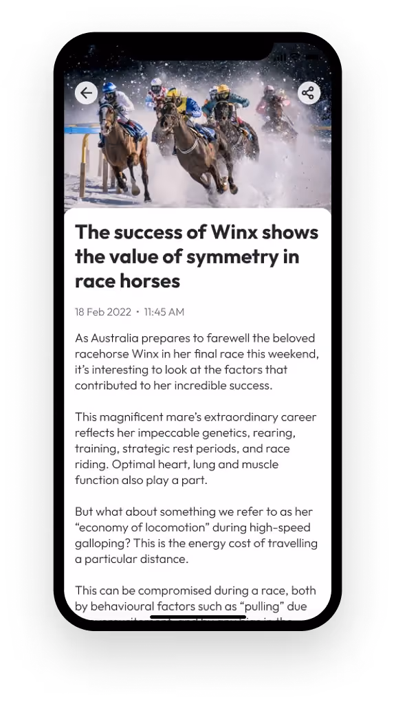 Sixth day racing screen